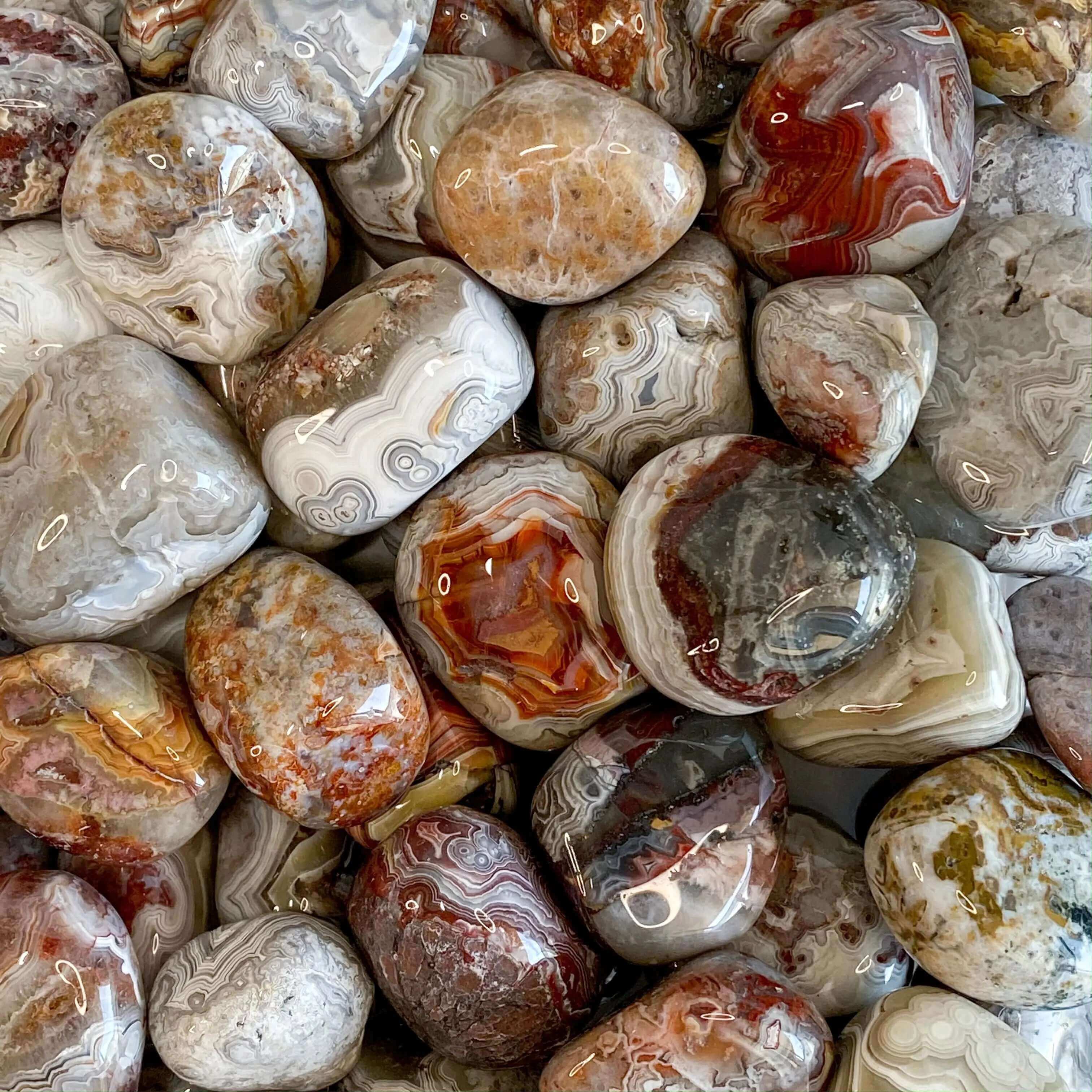 Crazy Lace Agate Tumbles | Set of 2 - Mooncat Crystals