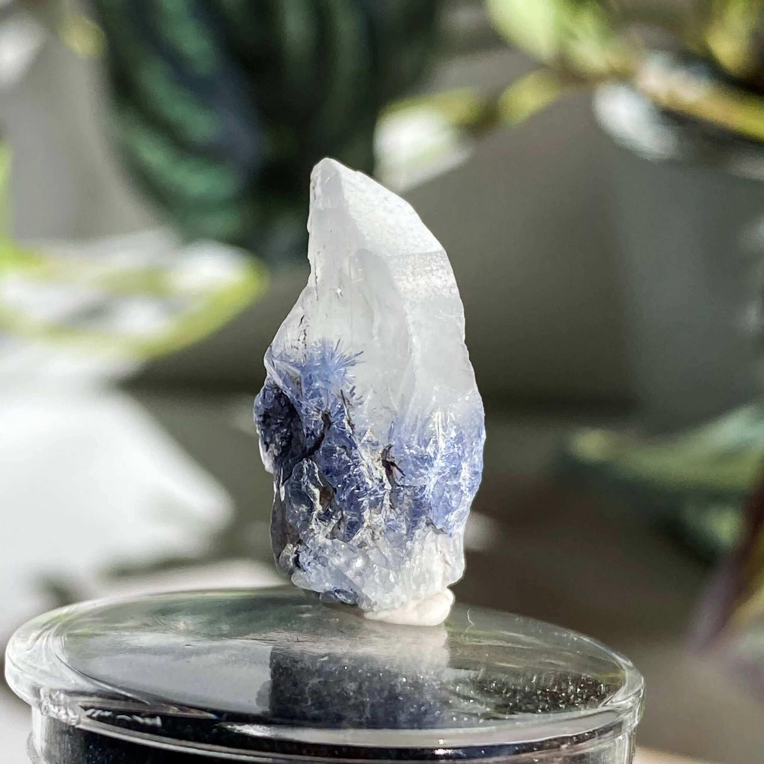 Dumortierite in Quartz | Stock J - Mooncat Crystals