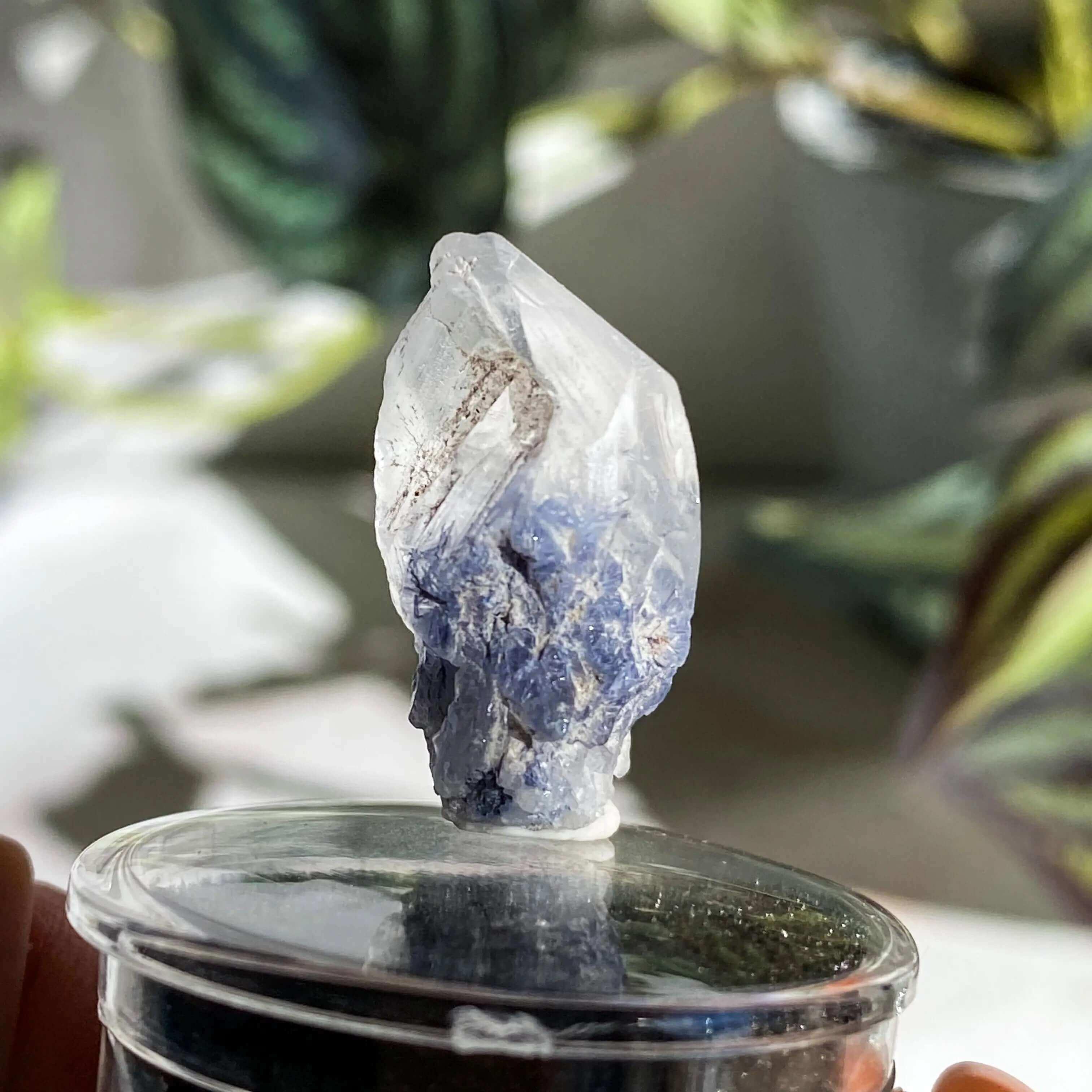 Dumortierite in Quartz | Stock J - Mooncat Crystals