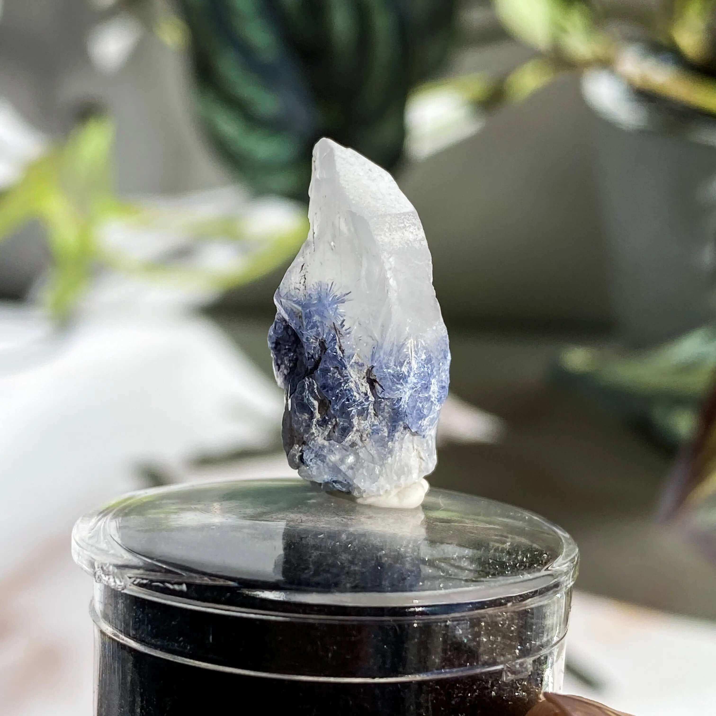 Dumortierite in Quartz | Stock J - Mooncat Crystals