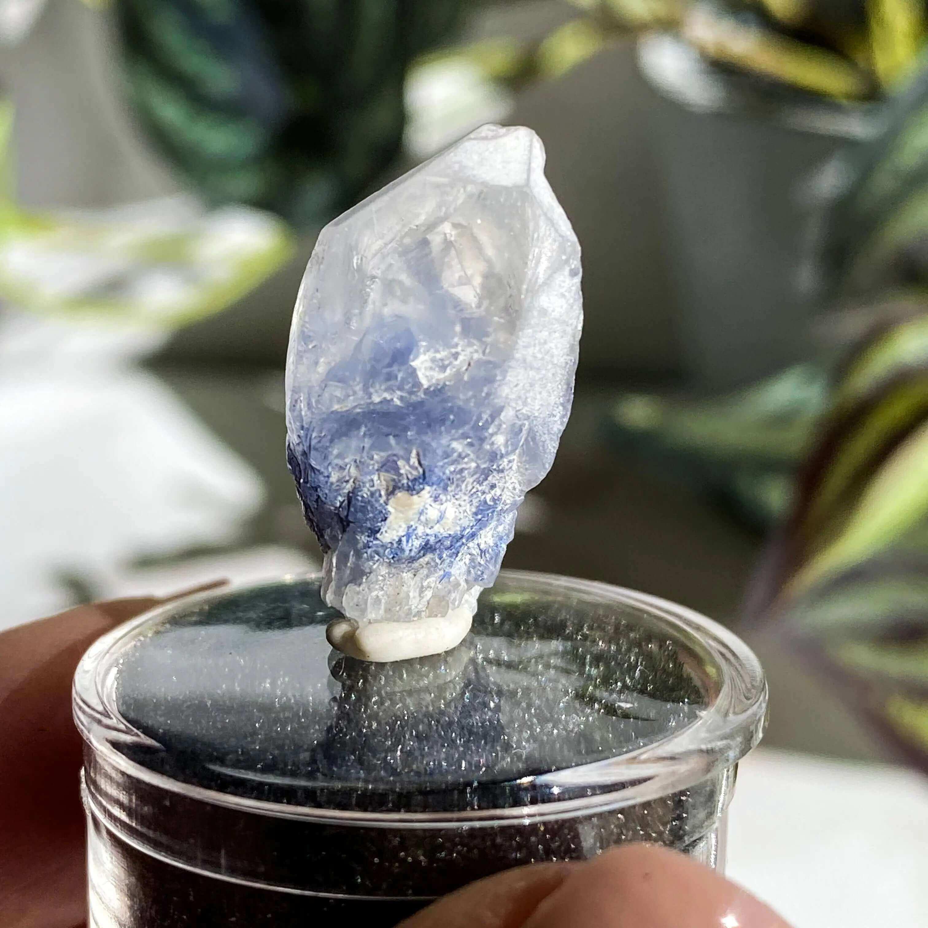Dumortierite in Quartz | Stock J - Mooncat Crystals