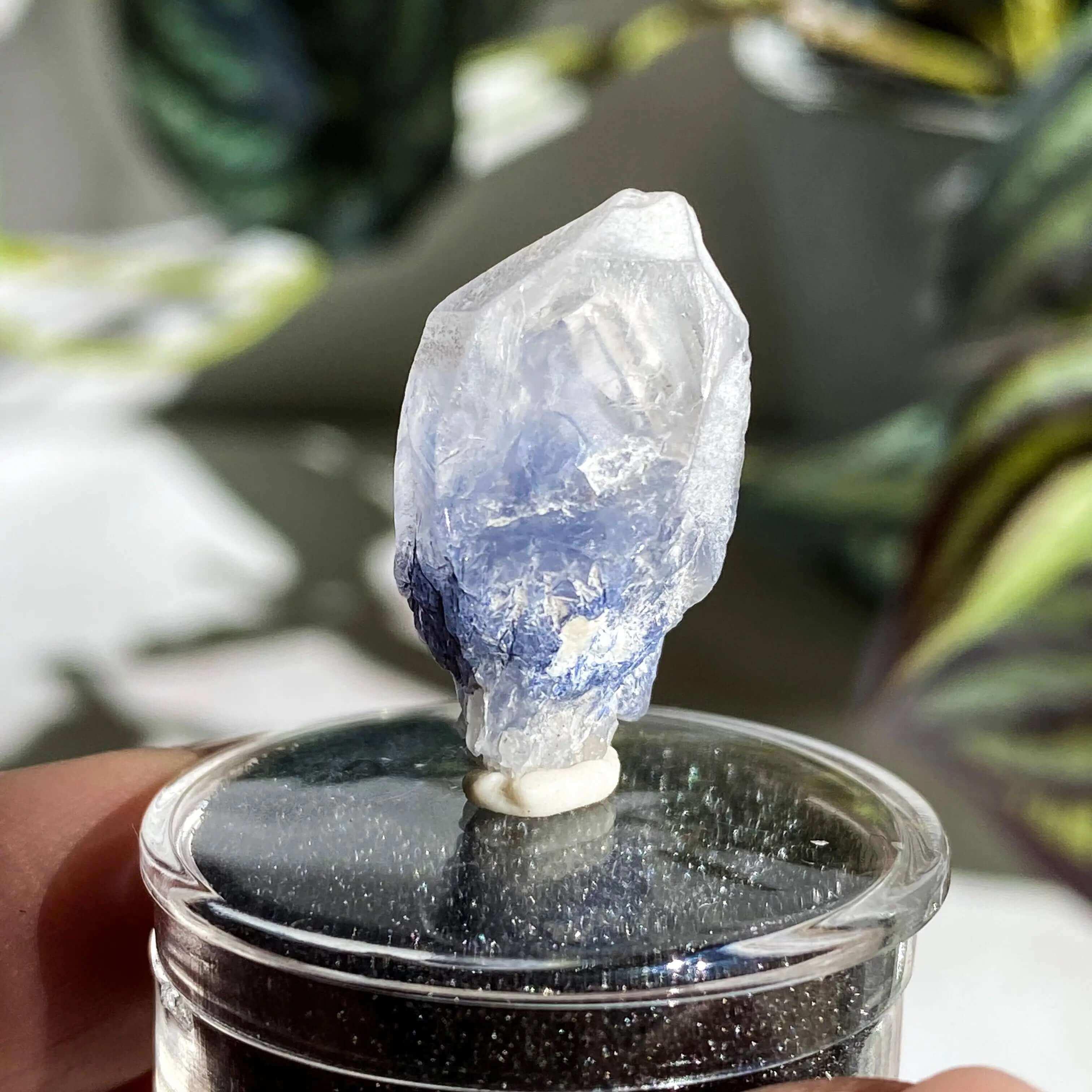 Dumortierite in Quartz | Stock J - Mooncat Crystals