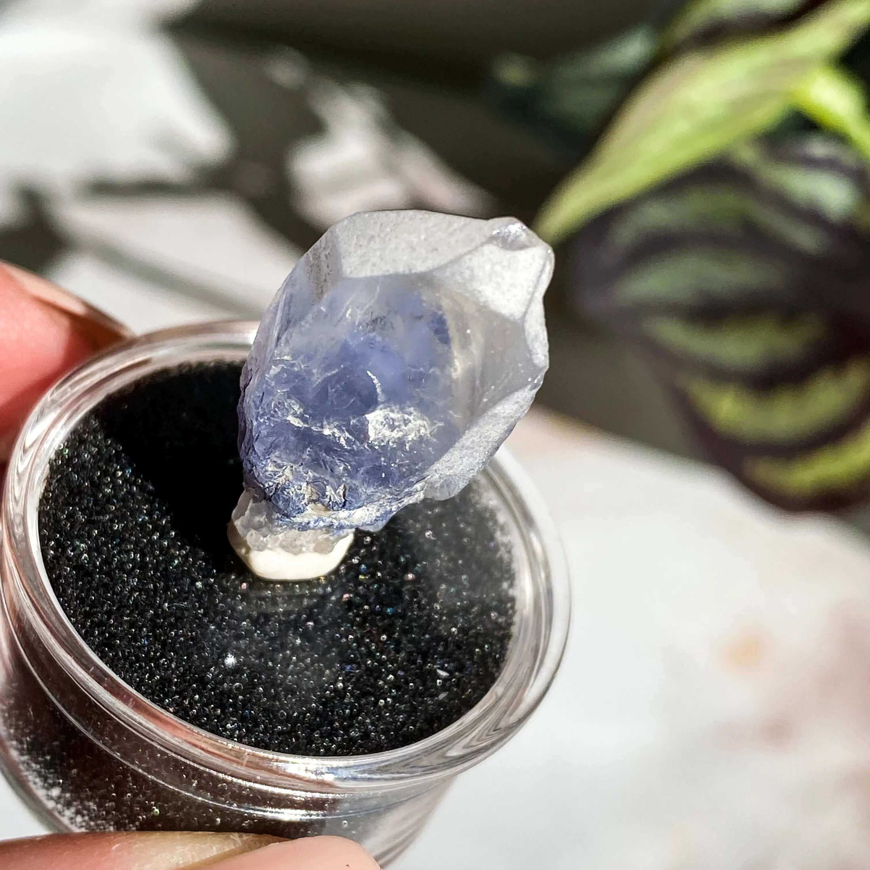 Dumortierite in Quartz | Stock J - Mooncat Crystals