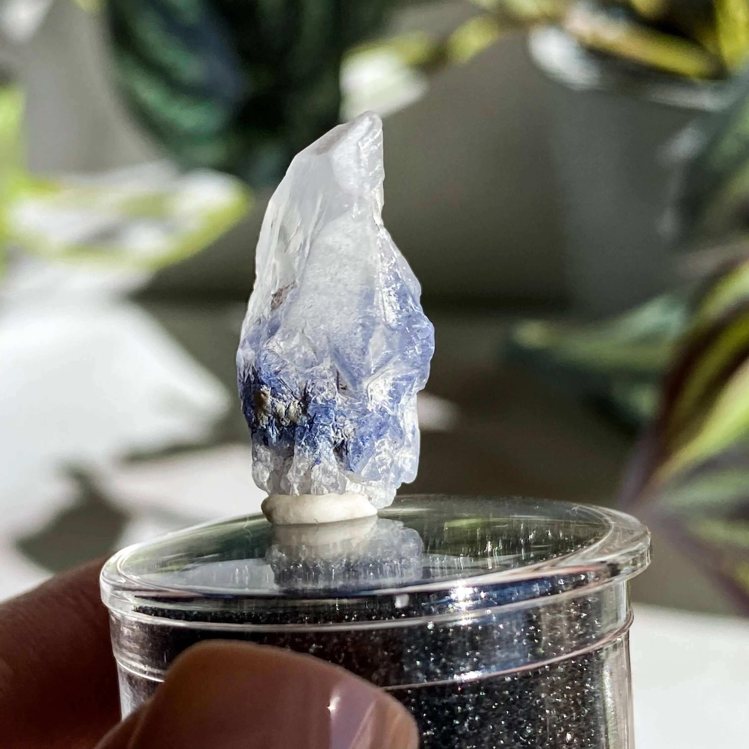 Dumortierite in Quartz | Stock J - Mooncat Crystals