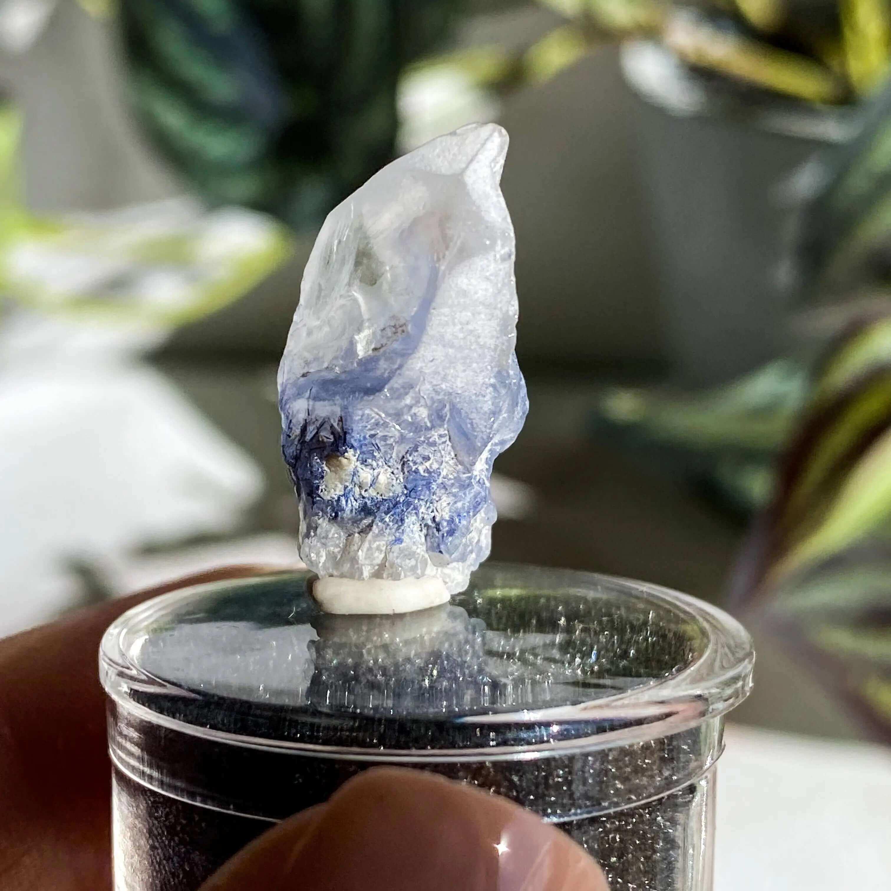 Dumortierite in Quartz | Stock J - Mooncat Crystals