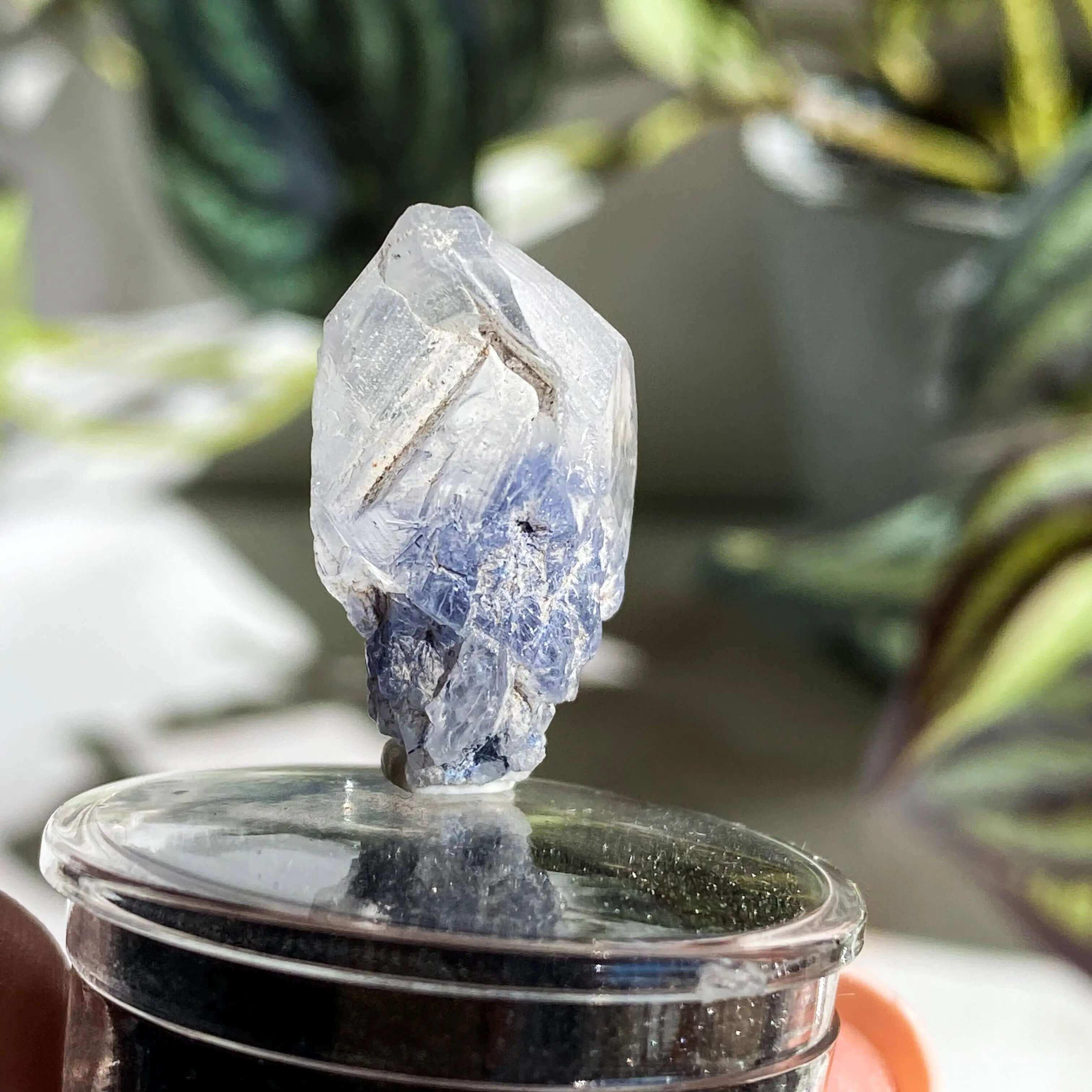 Dumortierite in Quartz | Stock J - Mooncat Crystals