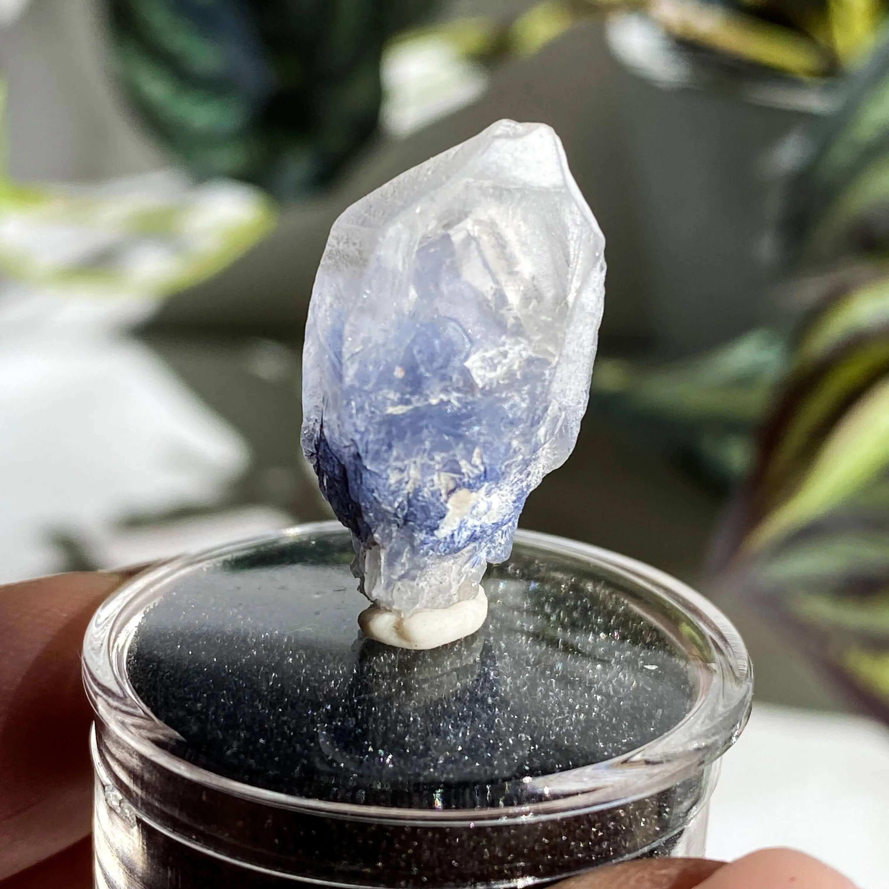 Dumortierite in Quartz | Stock J - Mooncat Crystals