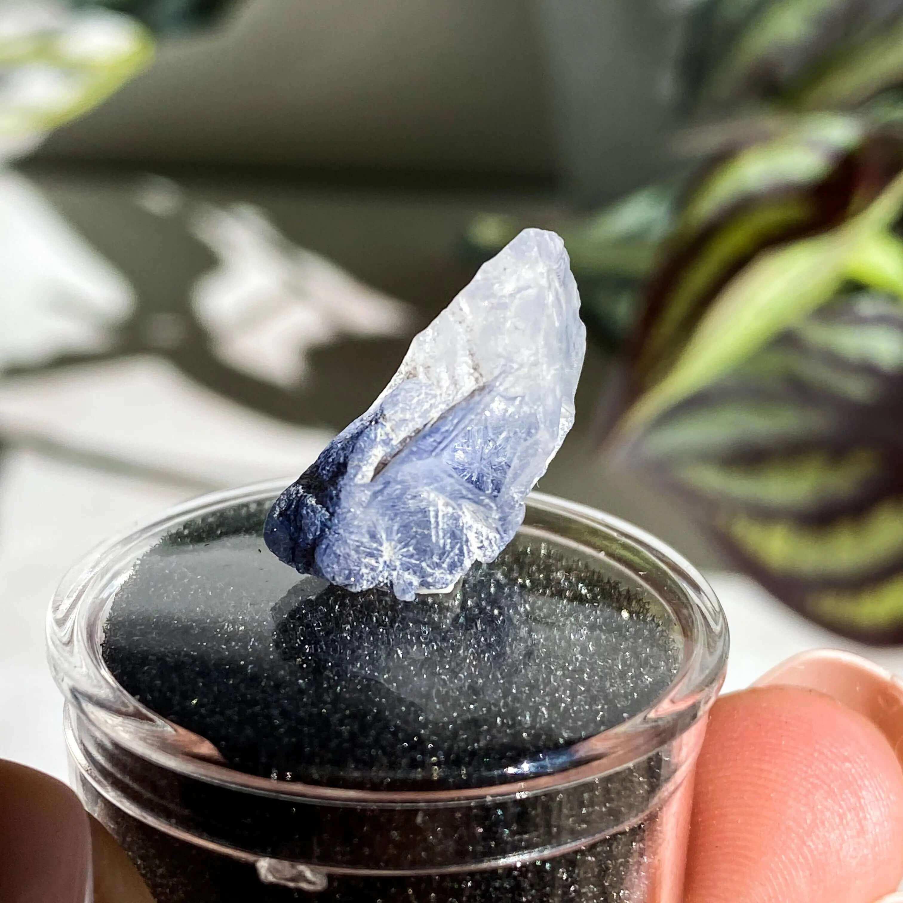 Dumortierite in Quartz | Stock K - Mooncat Crystals