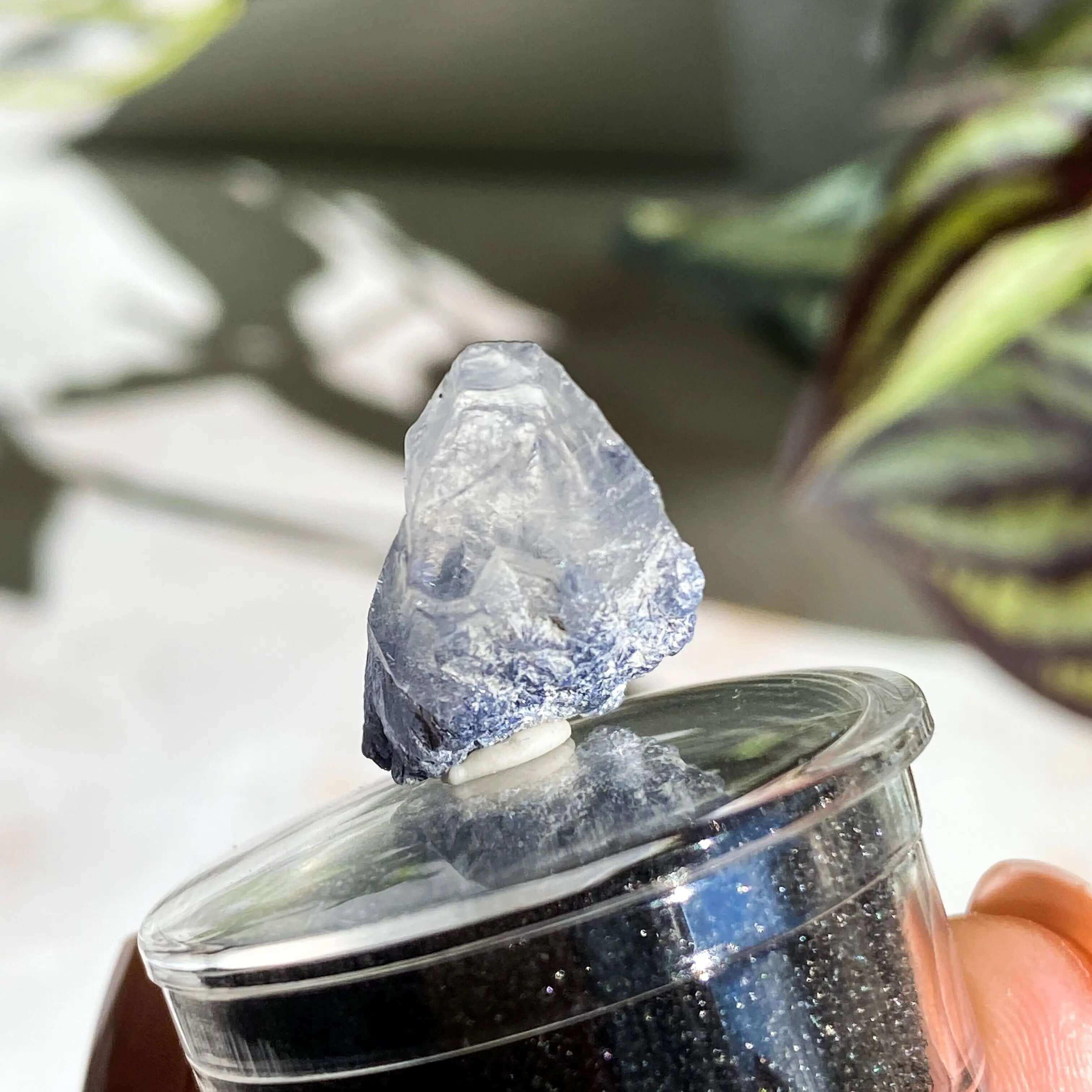 Dumortierite in Quartz | Stock K - Mooncat Crystals