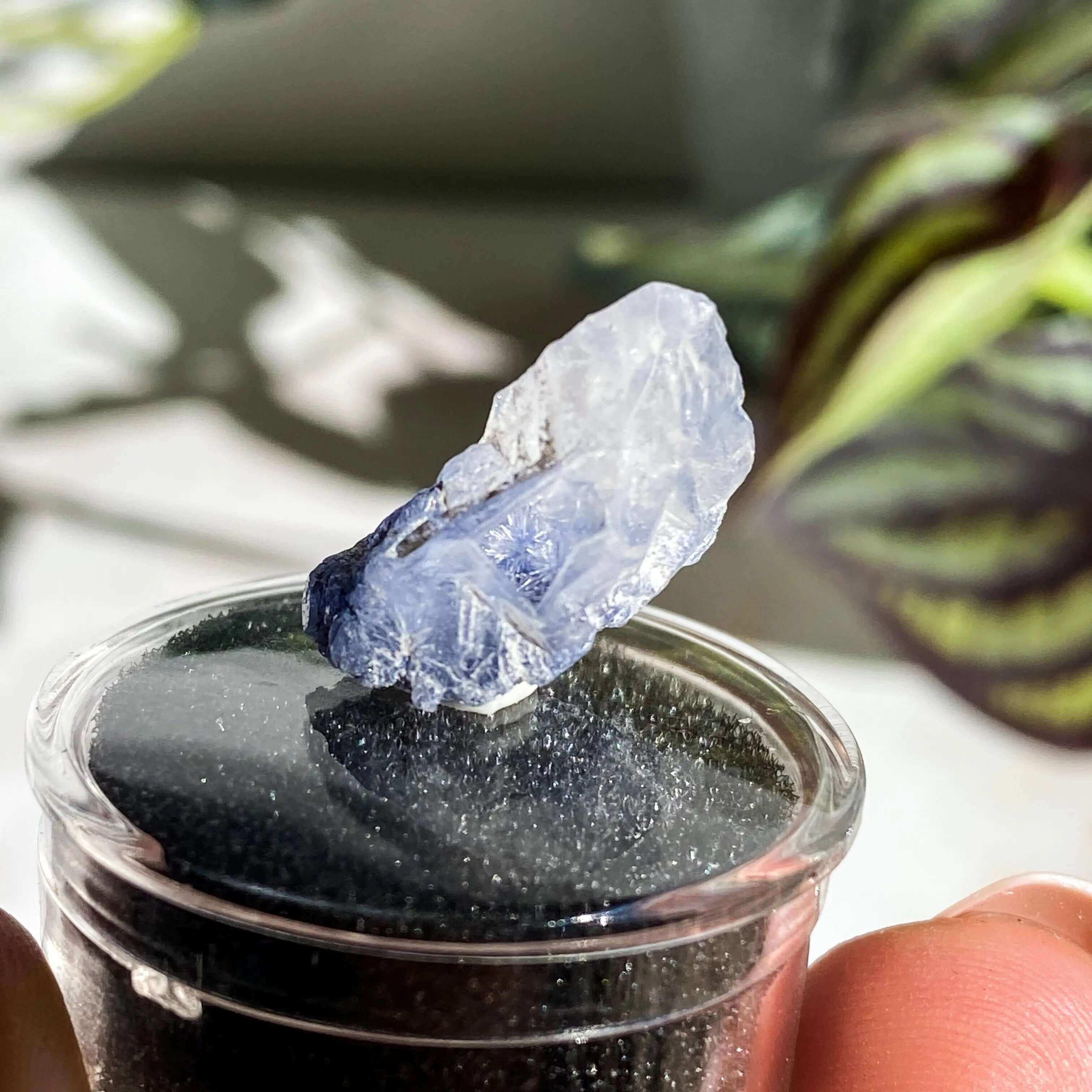 Dumortierite in Quartz | Stock K - Mooncat Crystals