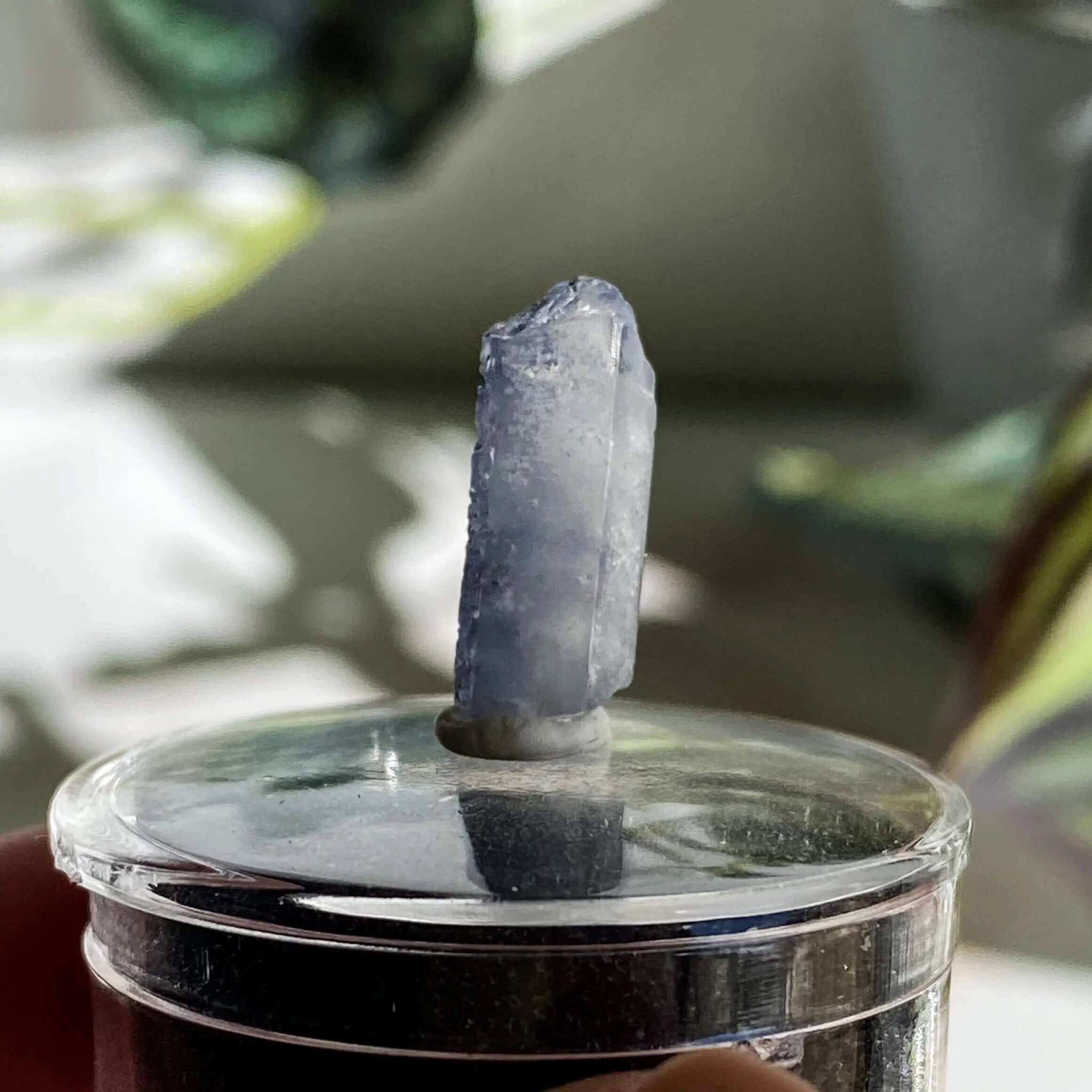 Dumortierite in Quartz | Stock L - Mooncat Crystals