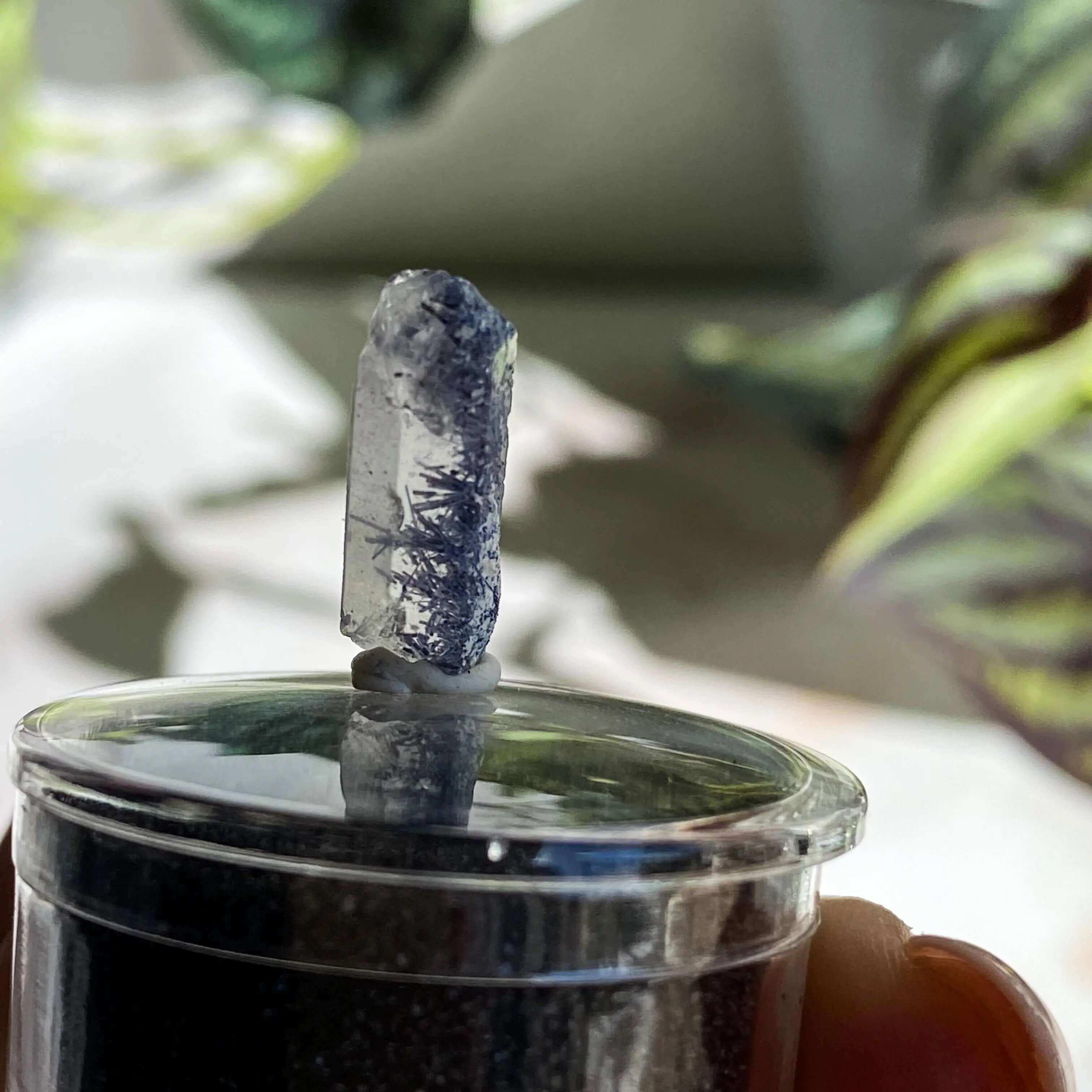 Dumortierite in Quartz | Stock L - Mooncat Crystals