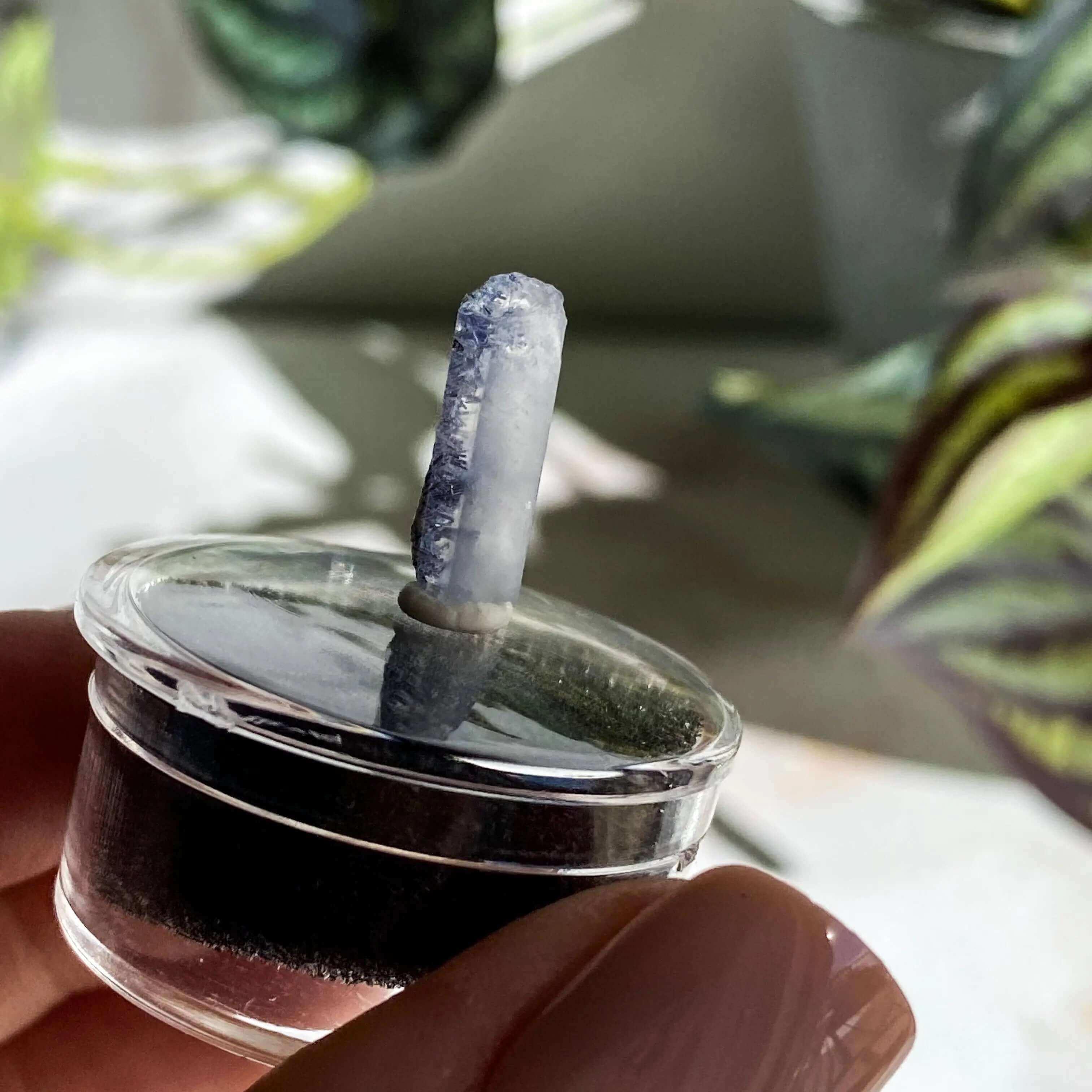 Dumortierite in Quartz | Stock L - Mooncat Crystals