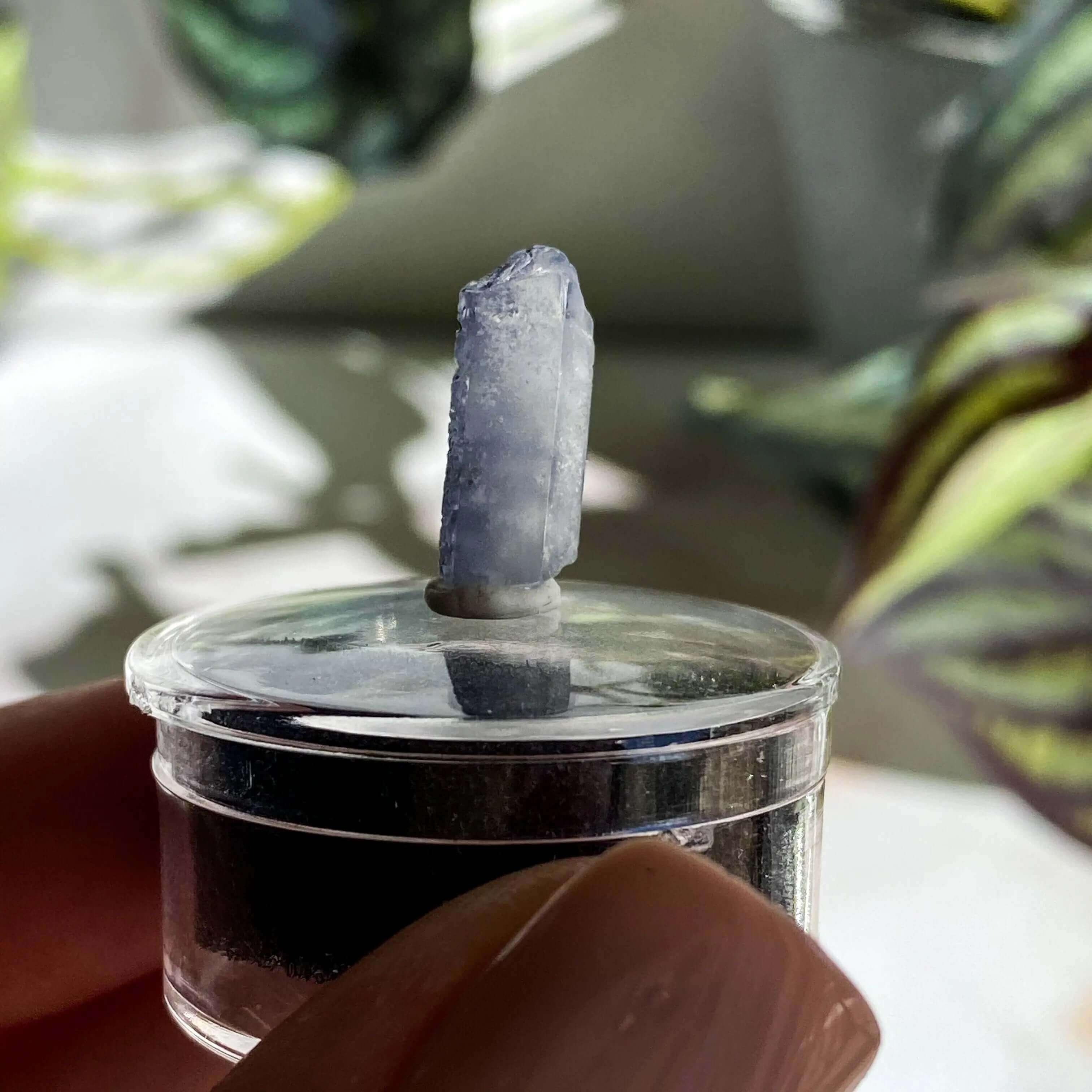 Dumortierite in Quartz | Stock L - Mooncat Crystals
