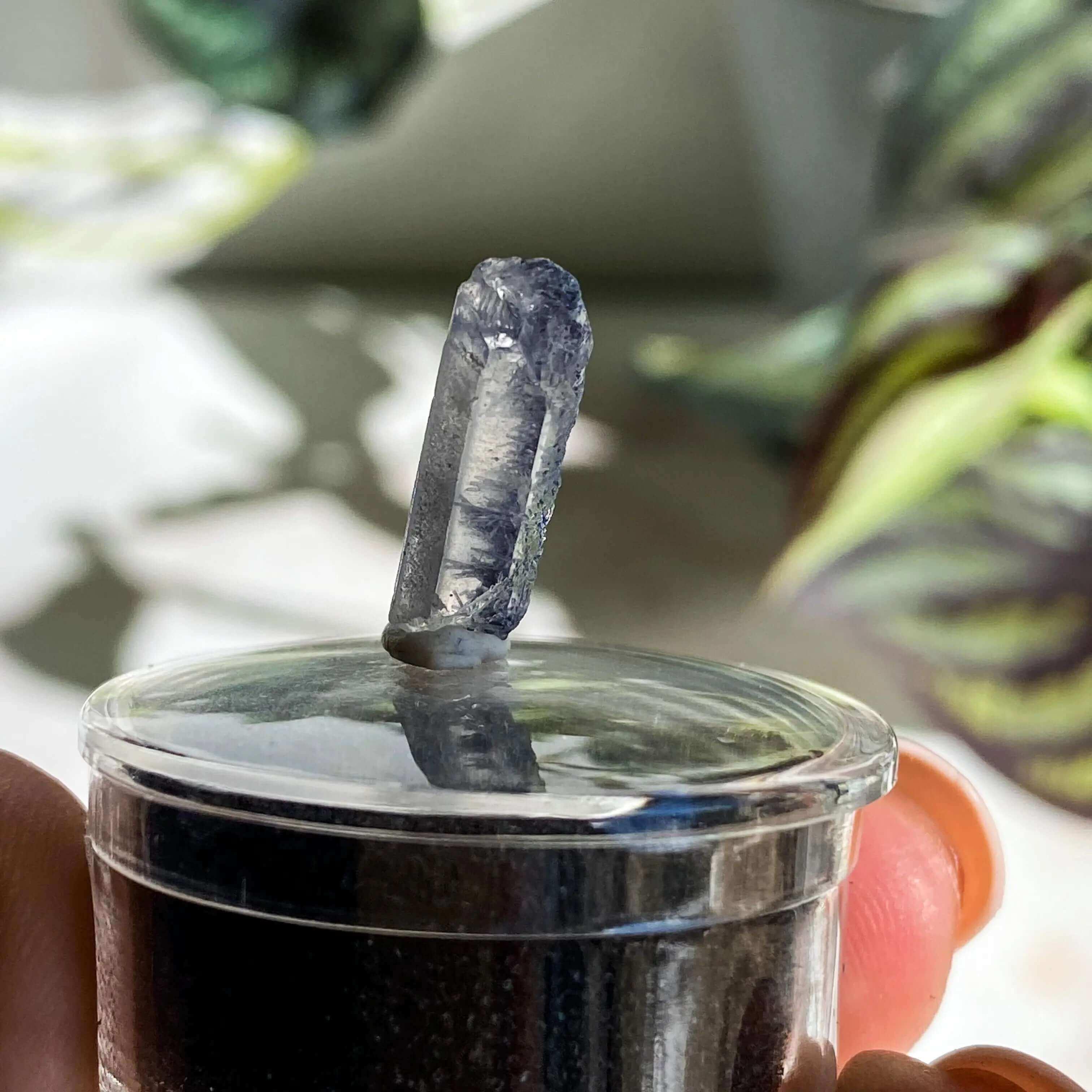 Dumortierite in Quartz | Stock L - Mooncat Crystals