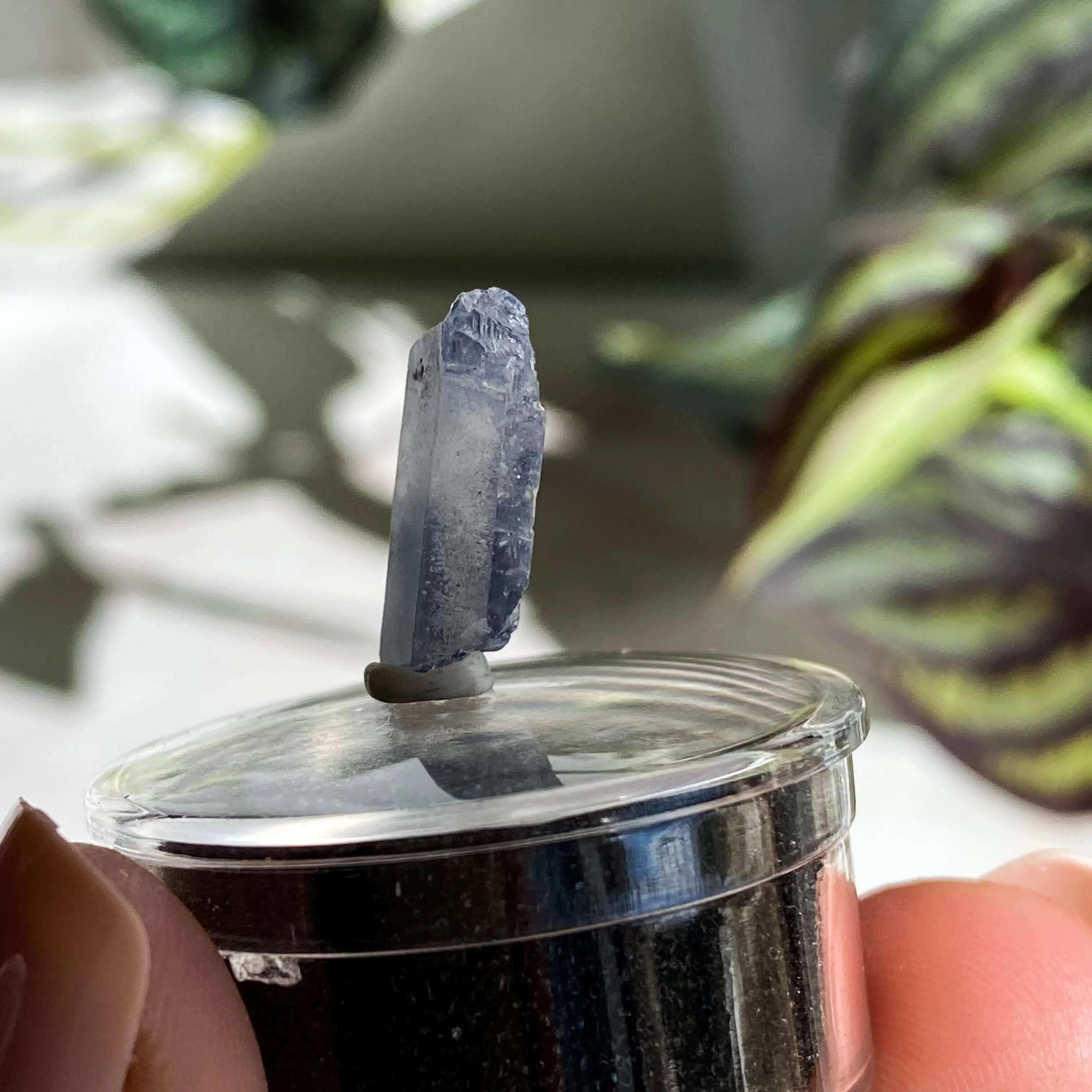 Dumortierite in Quartz | Stock L - Mooncat Crystals