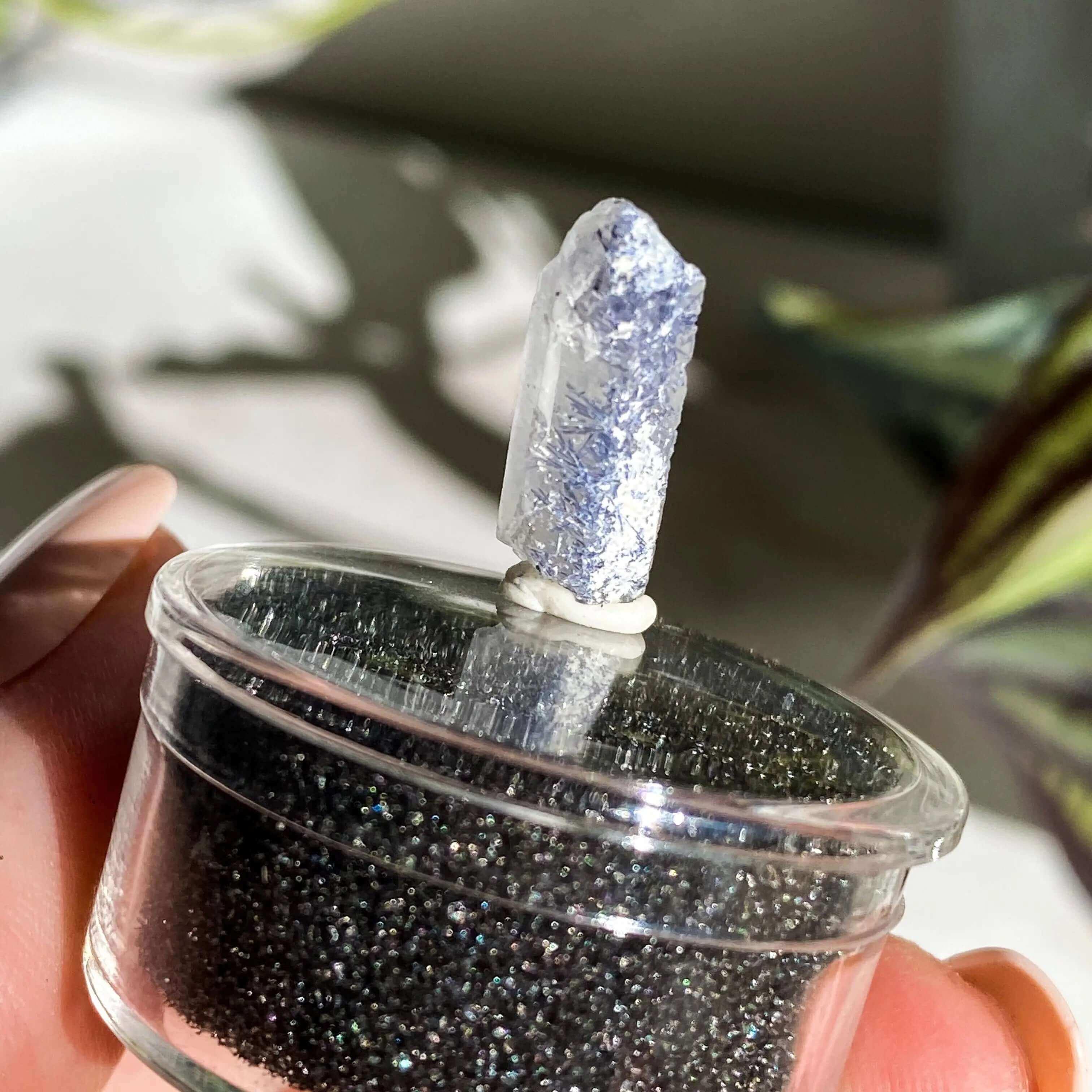 Dumortierite in Quartz | Stock L - Mooncat Crystals