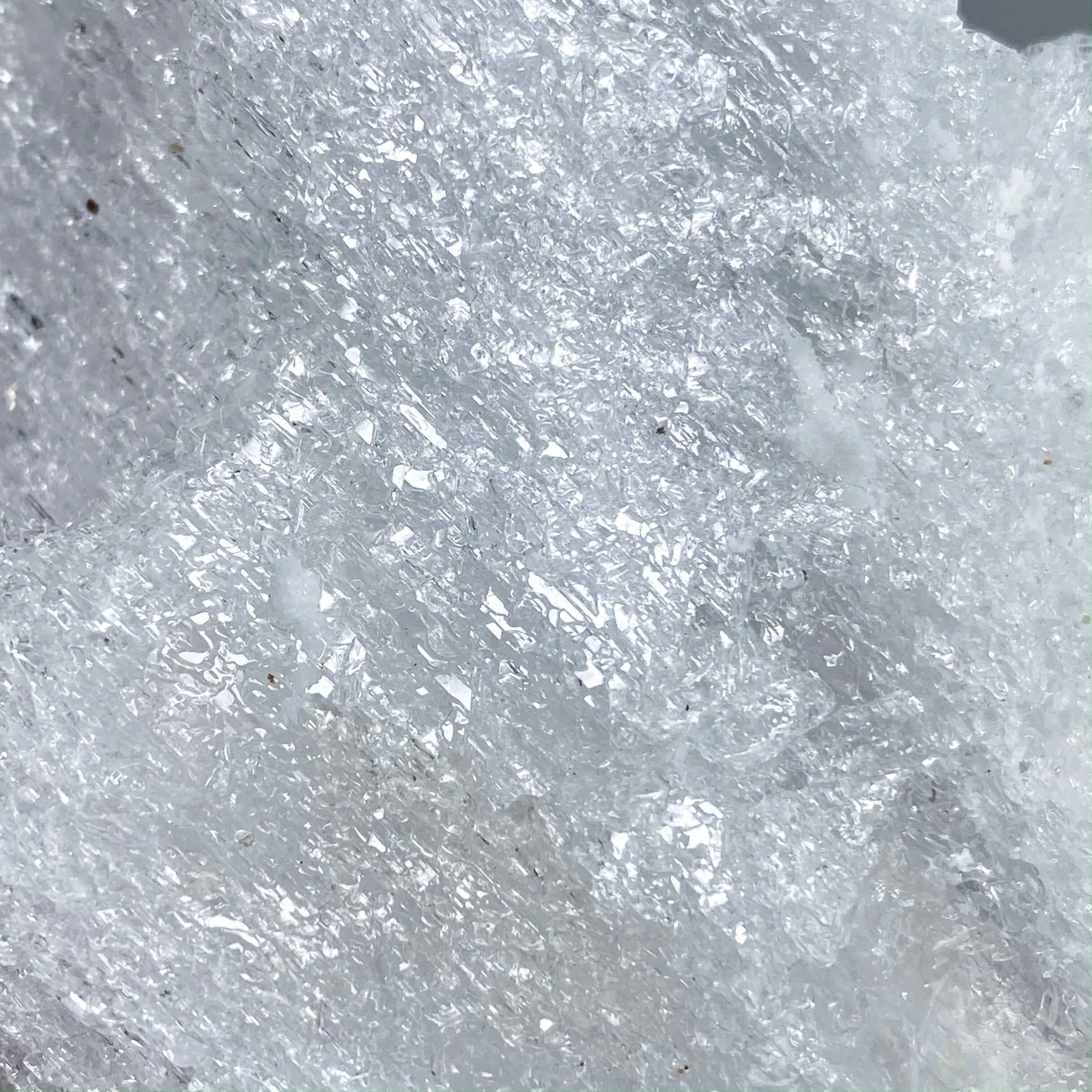 Etched Selenite - Mooncat Crystals