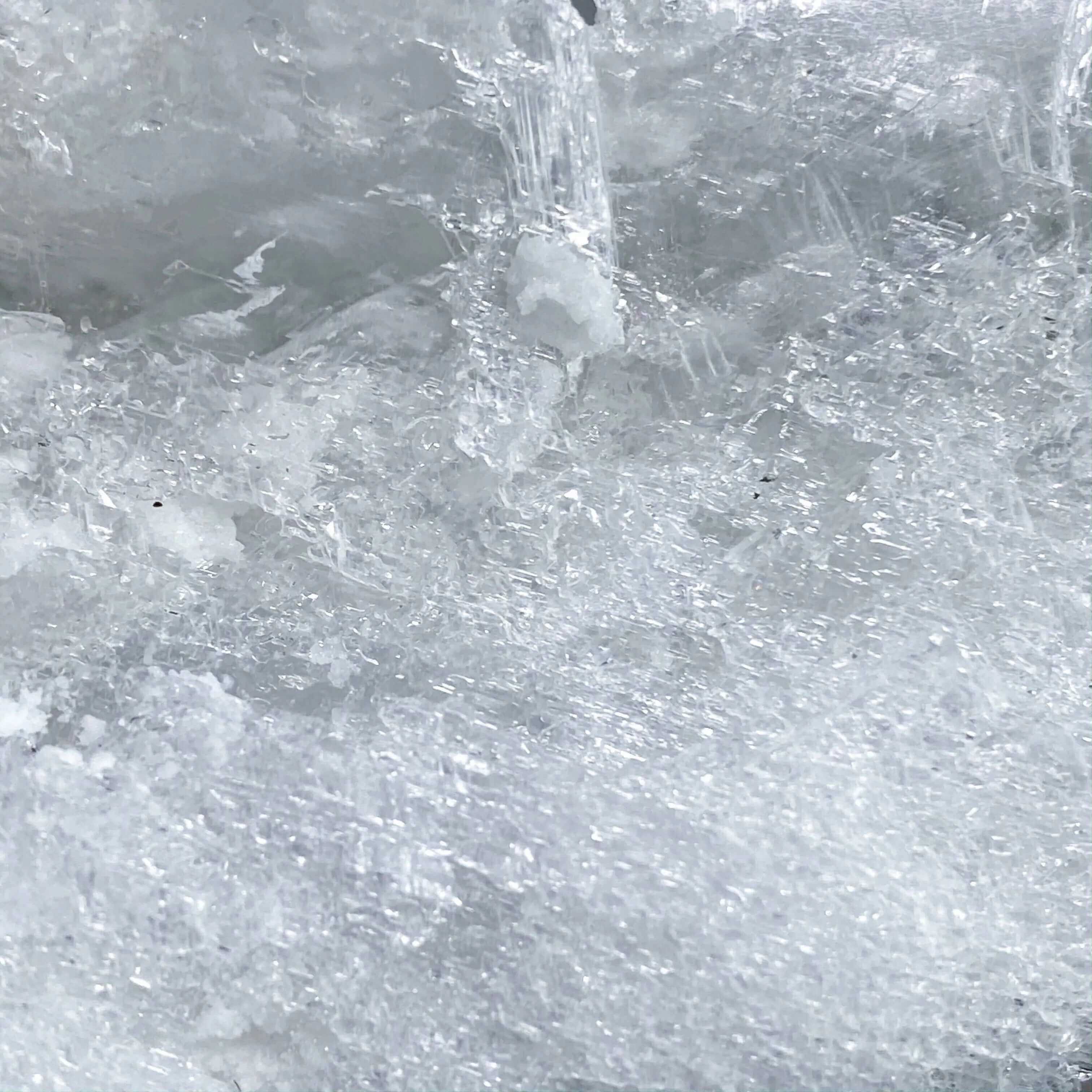 Etched Selenite - Mooncat Crystals