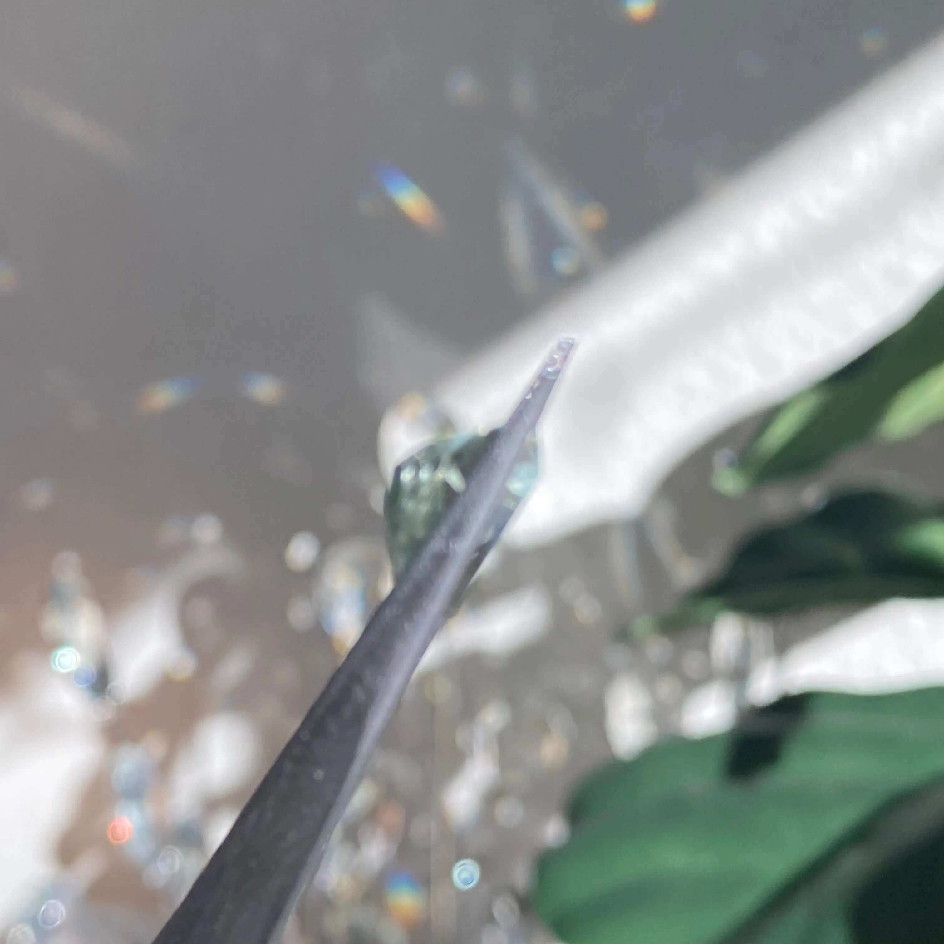 Faceted Prasiolite (Heated) | Stock A - Mooncat Crystals