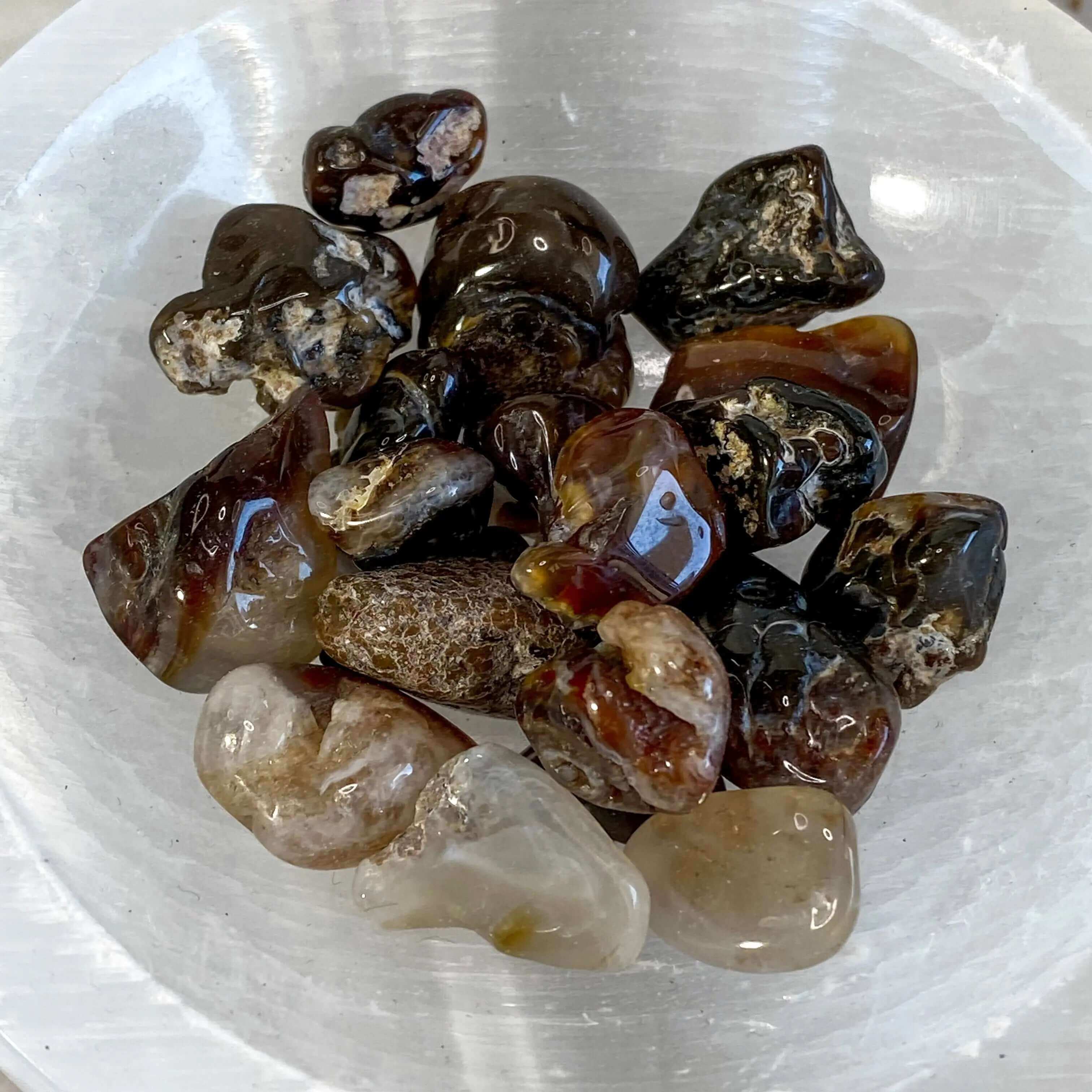 Fire Agate Tumbles - Mooncat Crystals