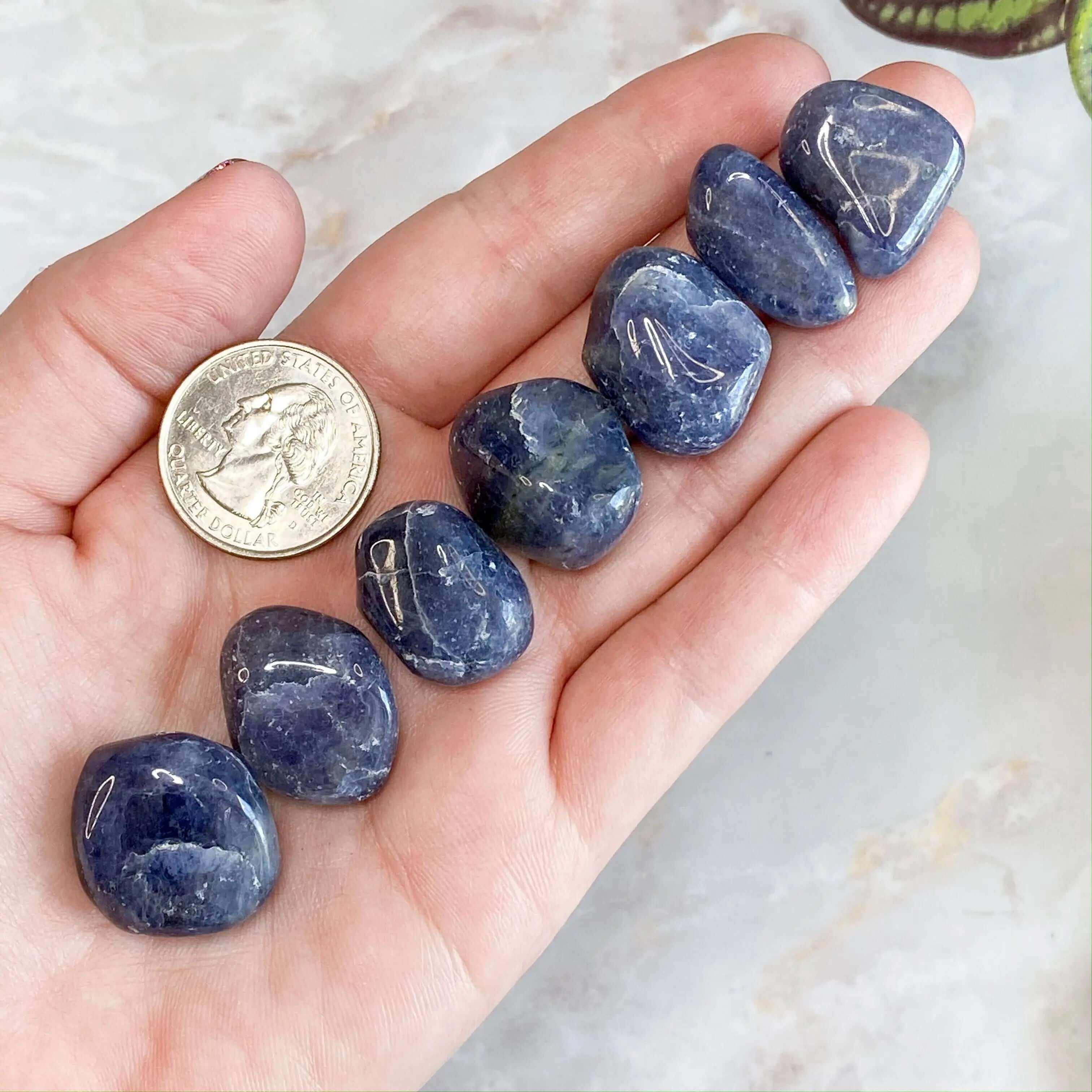 Iolite Tumbles | Set of 2 - Mooncat Crystals