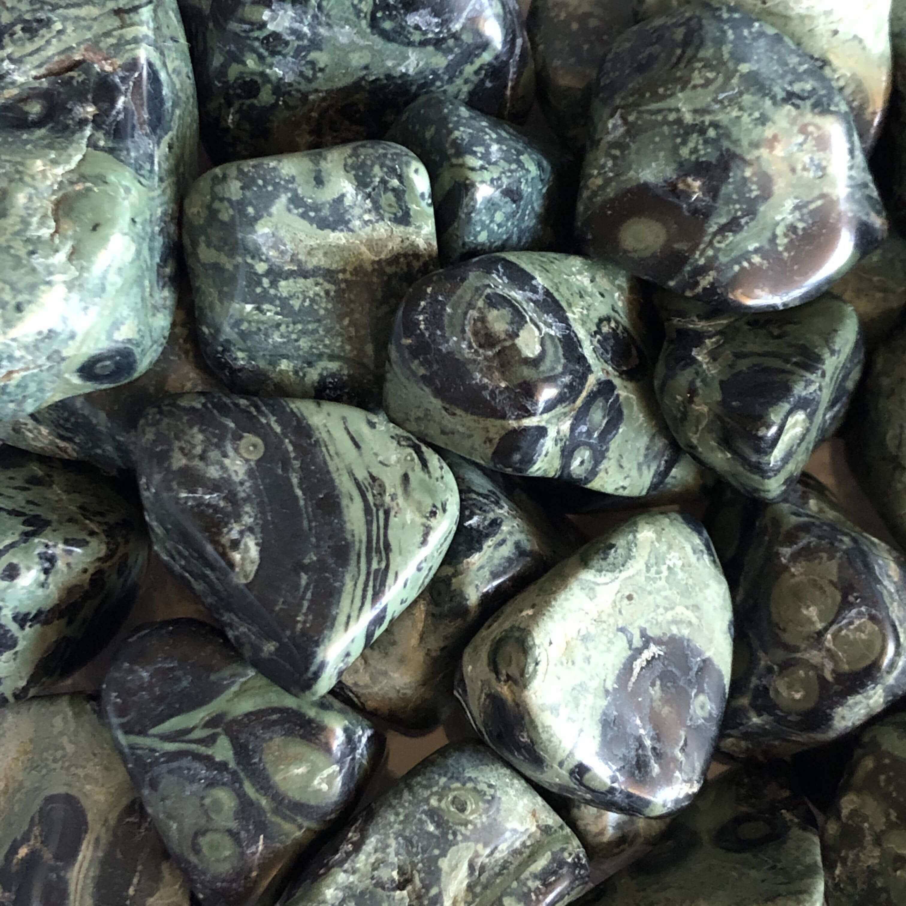 Kambaba Jasper Tumbles | Set of 2 - Mooncat Crystals