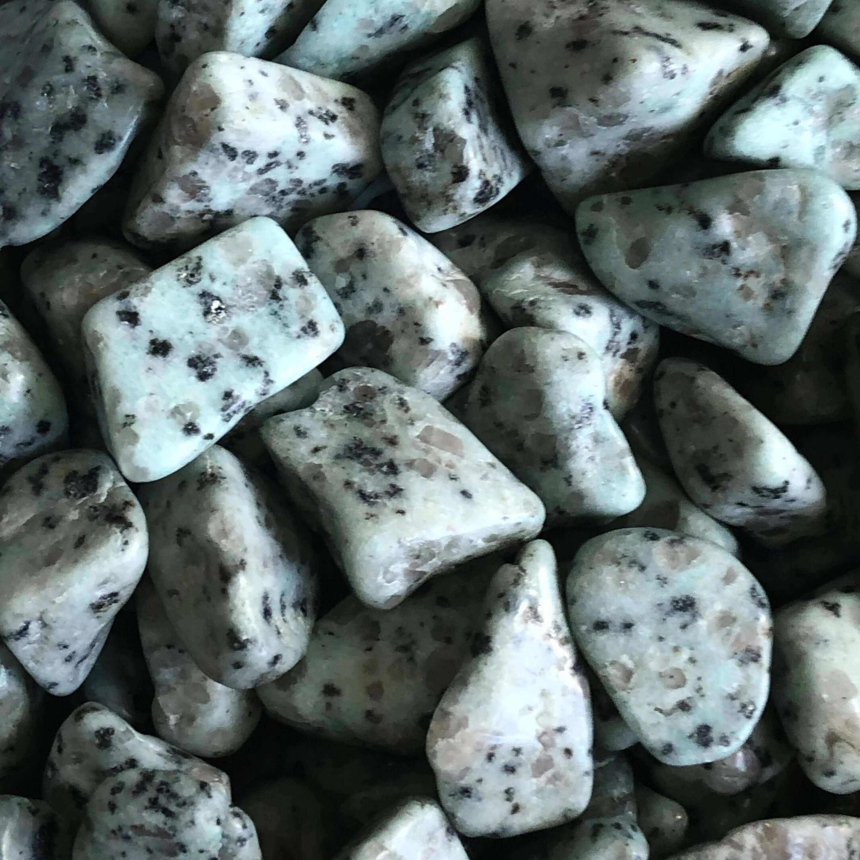 Kiwi Jasper Tumbles | Set of 2 - Mooncat Crystals