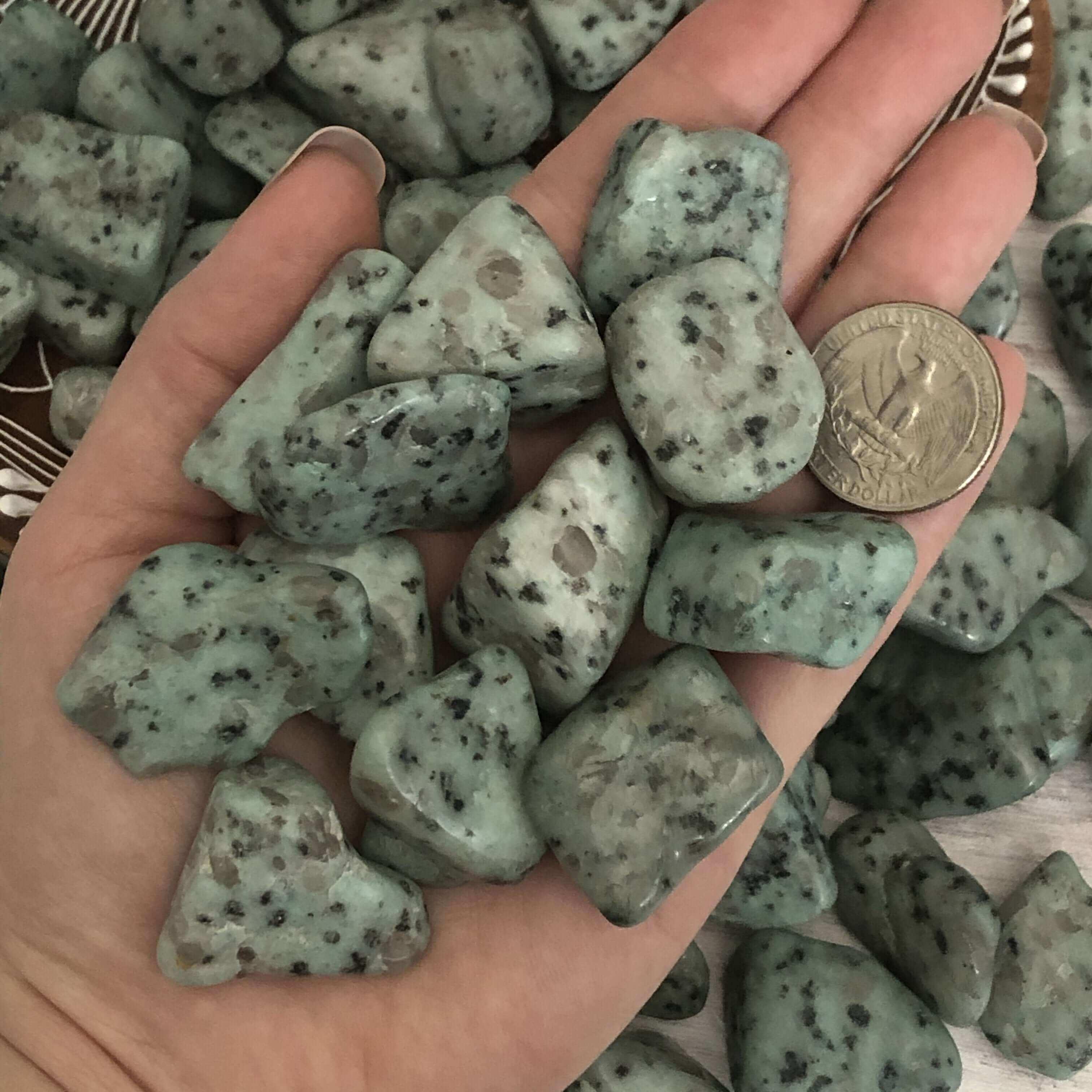 Kiwi Jasper Tumbles | Set of 2 - Mooncat Crystals