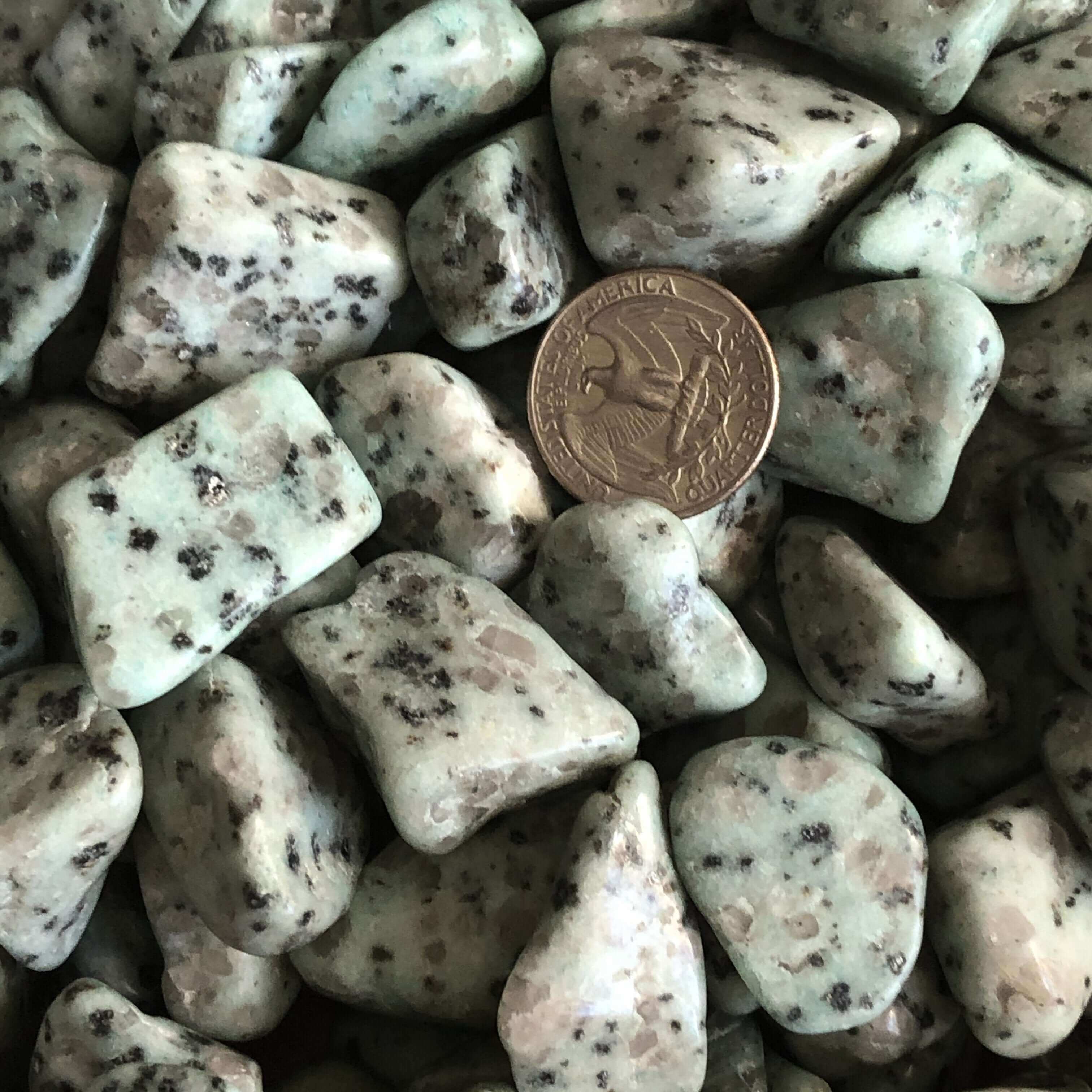 Kiwi Jasper Tumbles | Set of 2 - Mooncat Crystals