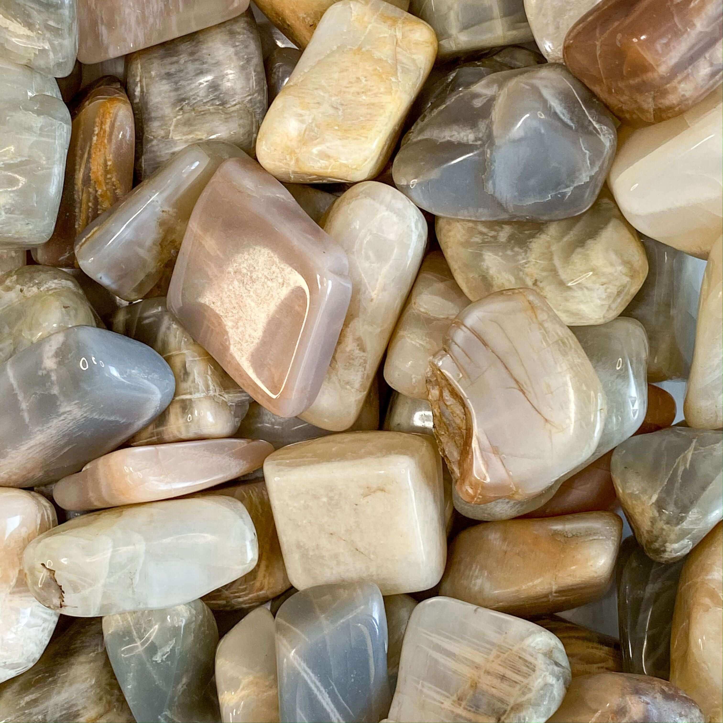 Mixed Moonstone Tumbles | Set of 2 - Mooncat Crystals