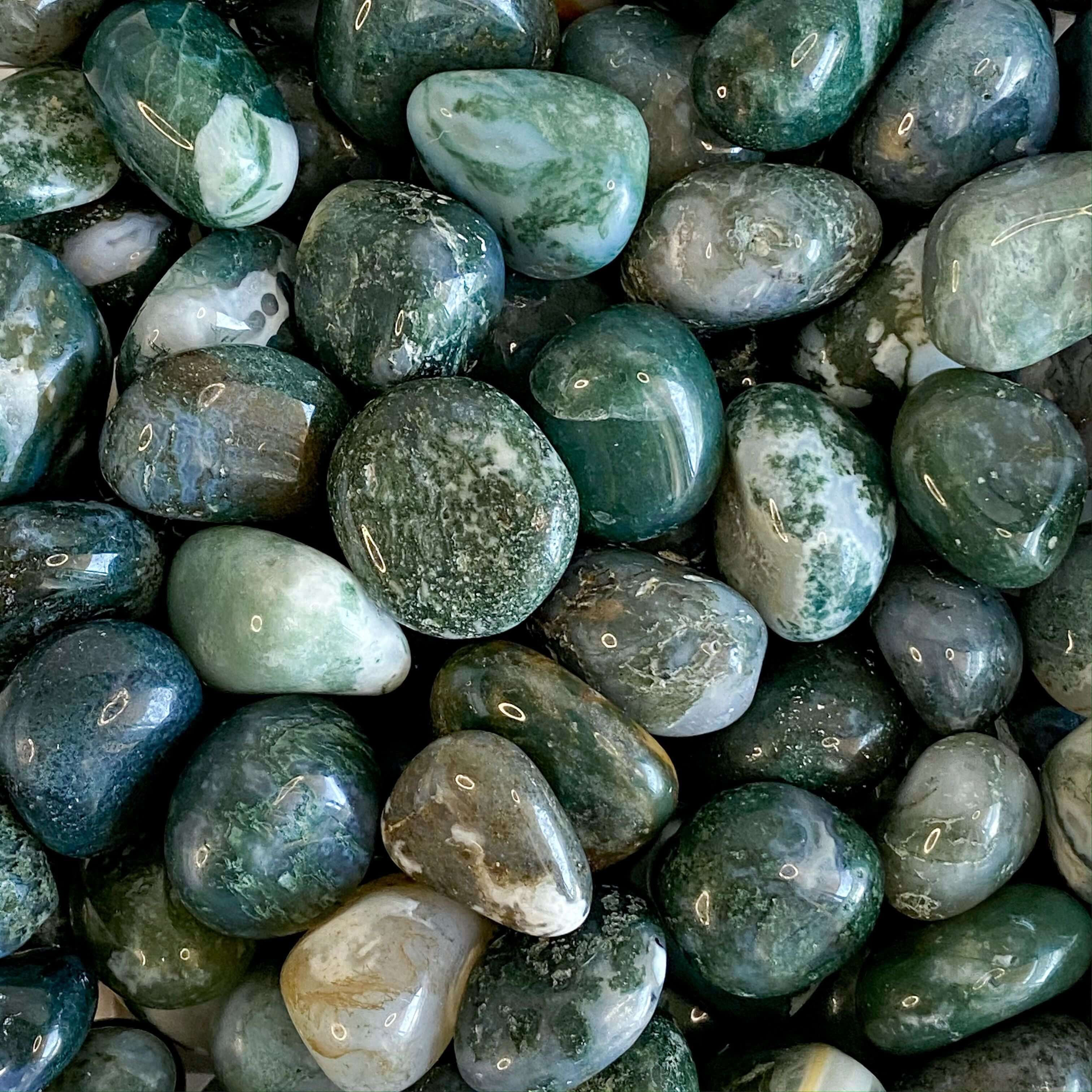 Moss Agate Tumbles - Mooncat Crystals