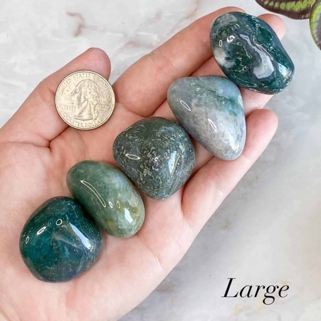 Moss Agate Tumbles - Mooncat Crystals