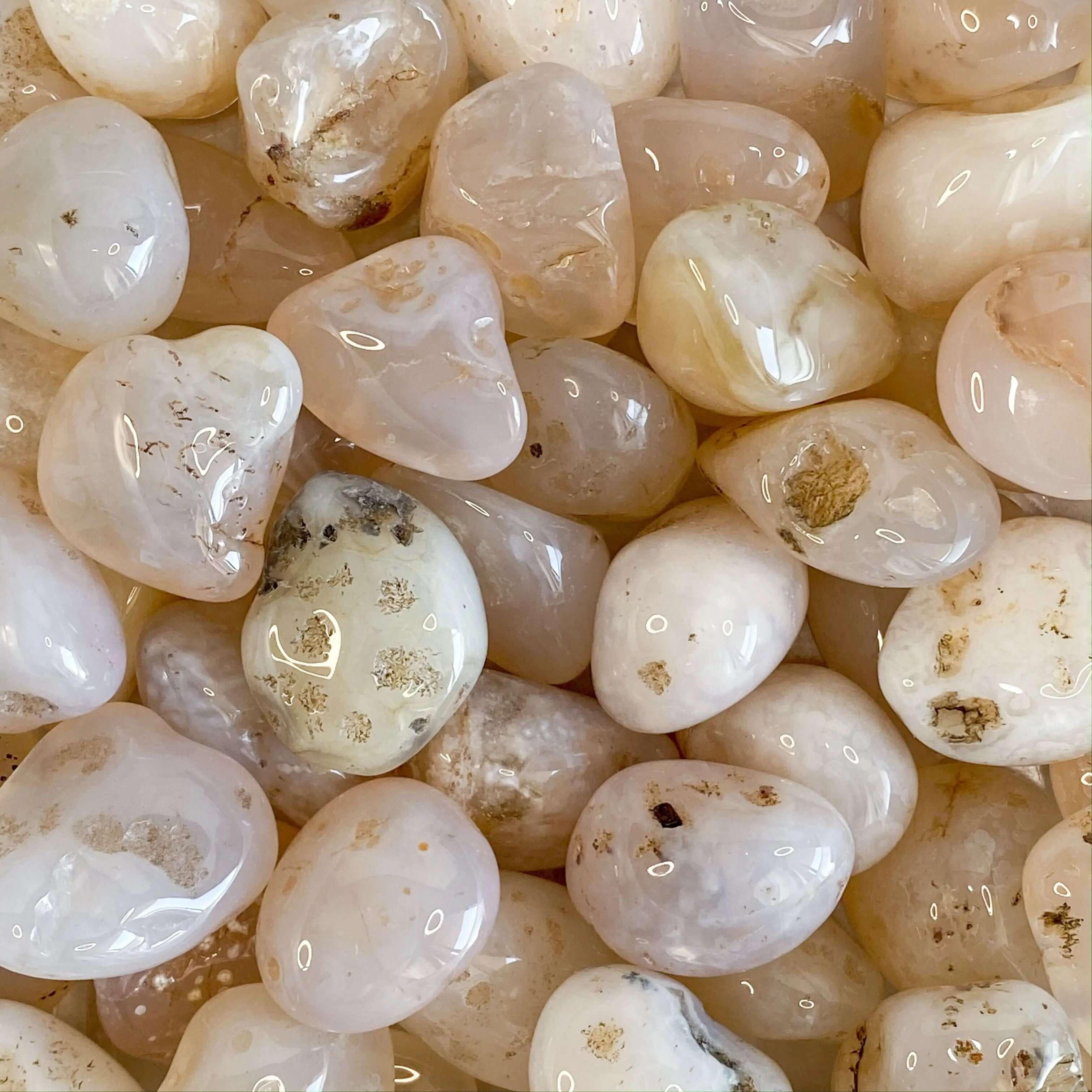 Pink Chalcedony Tumbles | Set of 2 - Mooncat Crystals