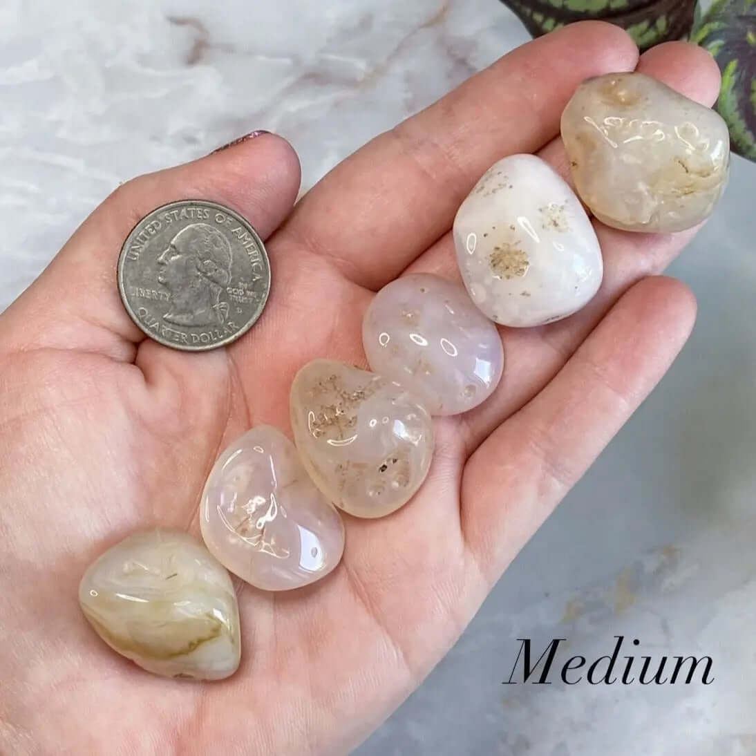 Pink Chalcedony Tumbles | Set of 2 - Mooncat Crystals