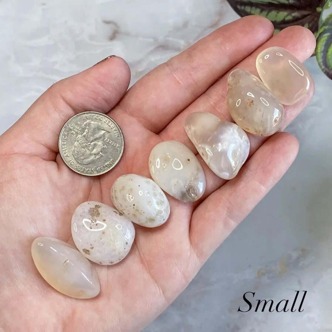Pink Chalcedony Tumbles | Set of 2 - Mooncat Crystals