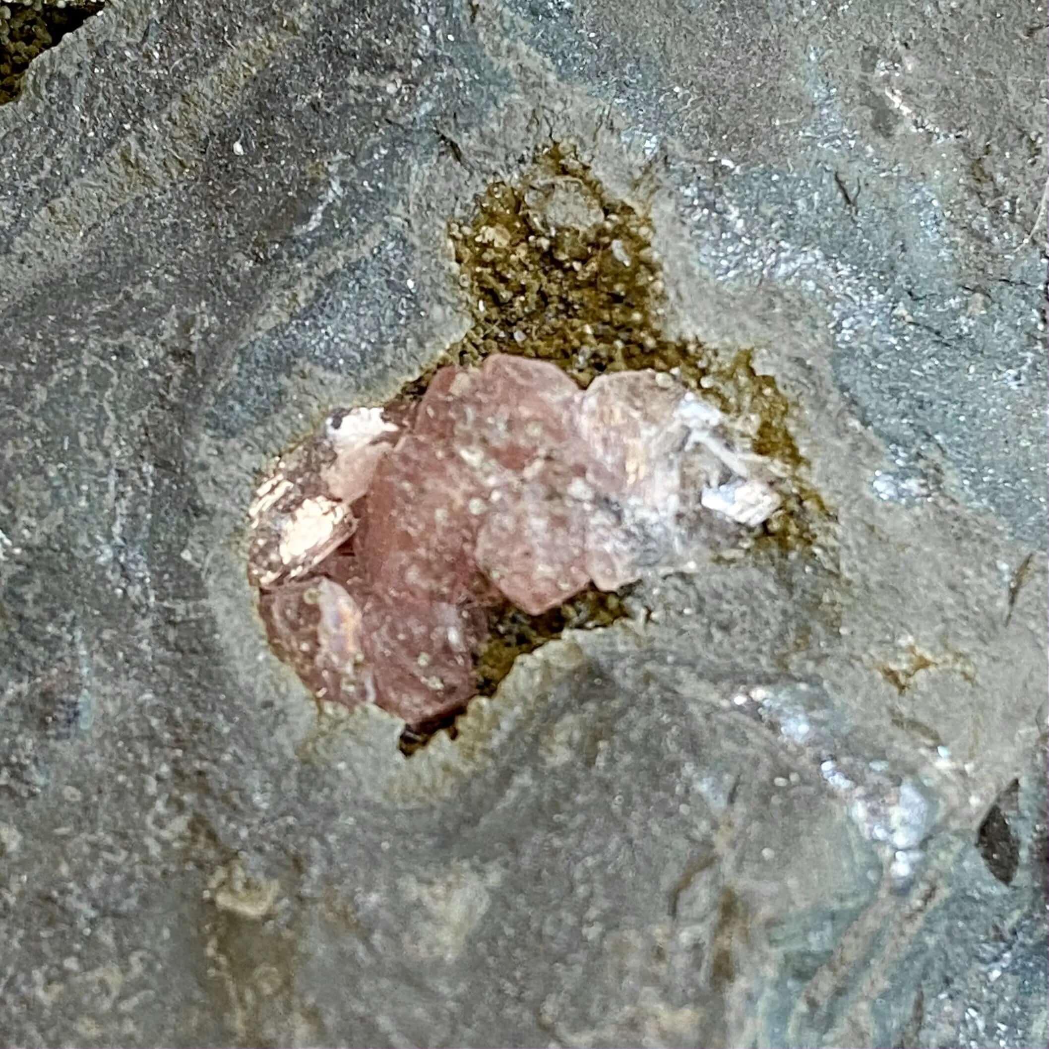Rhodocrosite | Stock A - Mooncat Crystals