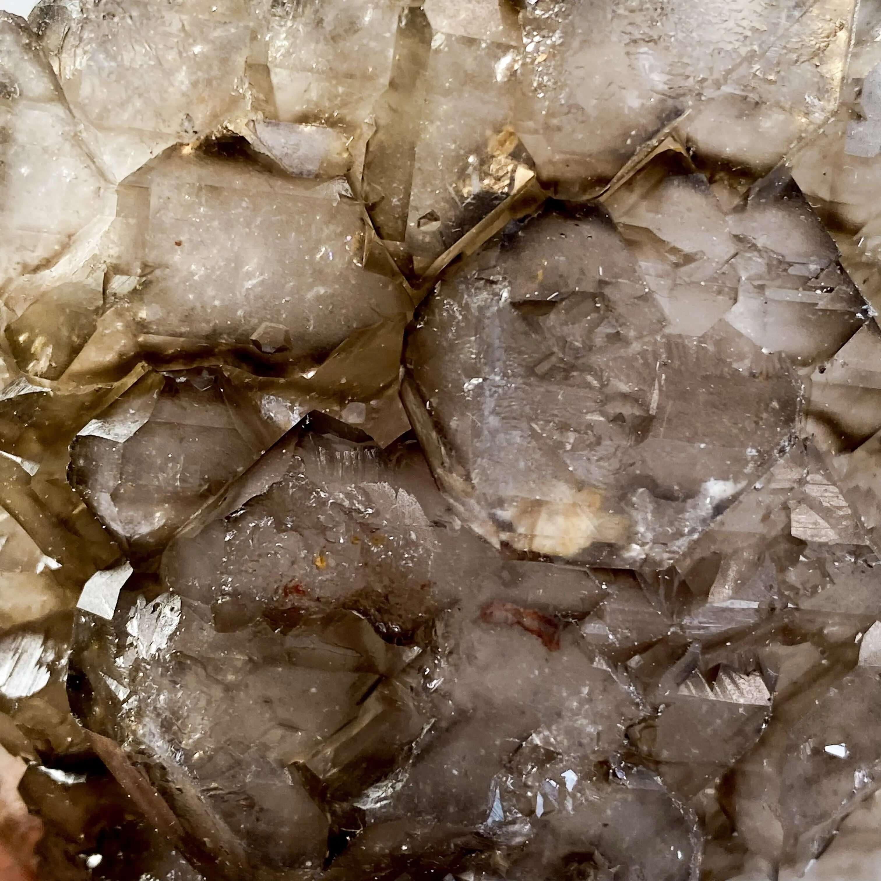 Self-Healed Smoky Elestial Quartz | Stock H - Mooncat Crystals