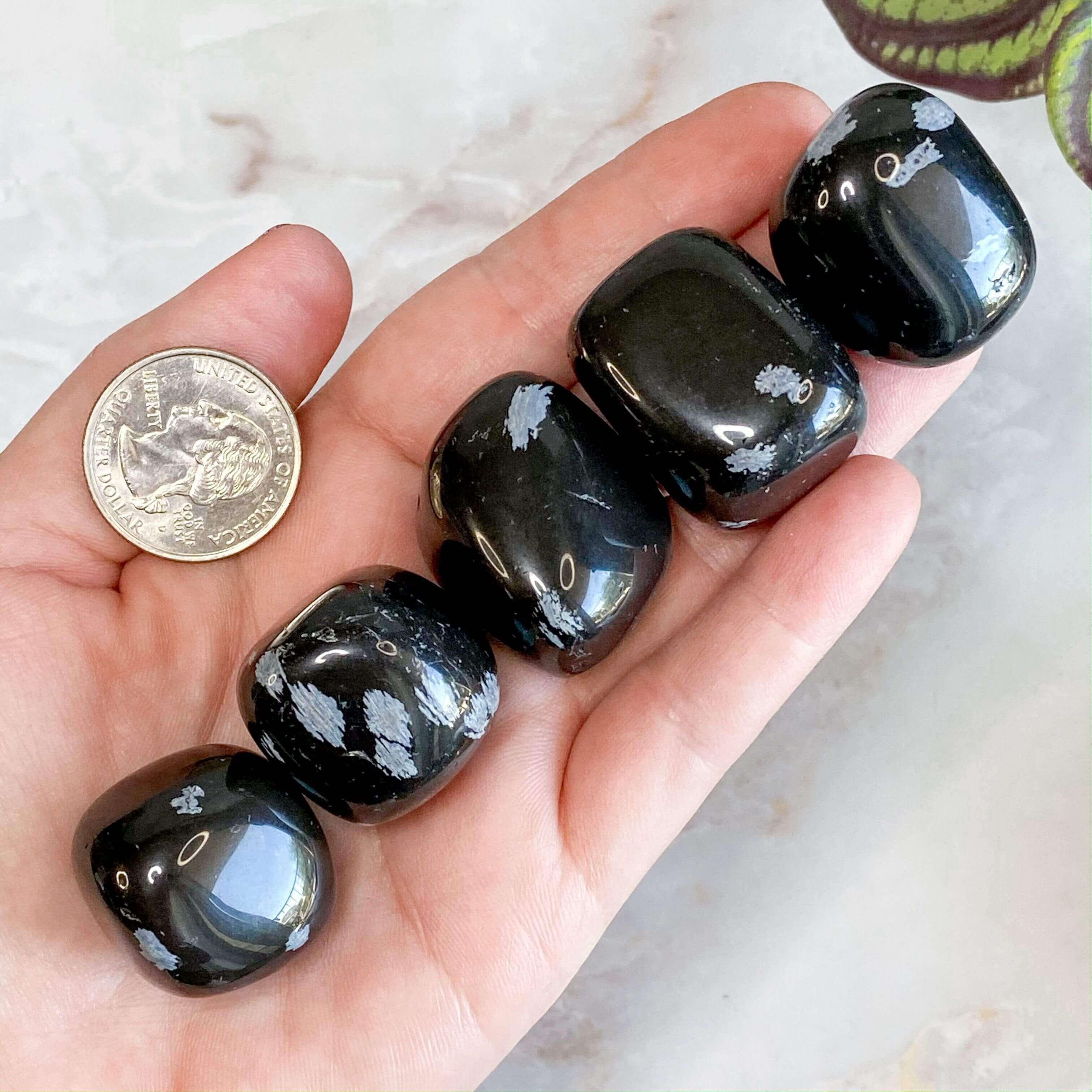 Snowflake Obsidian Tumbles | Set of 2 - Mooncat Crystals