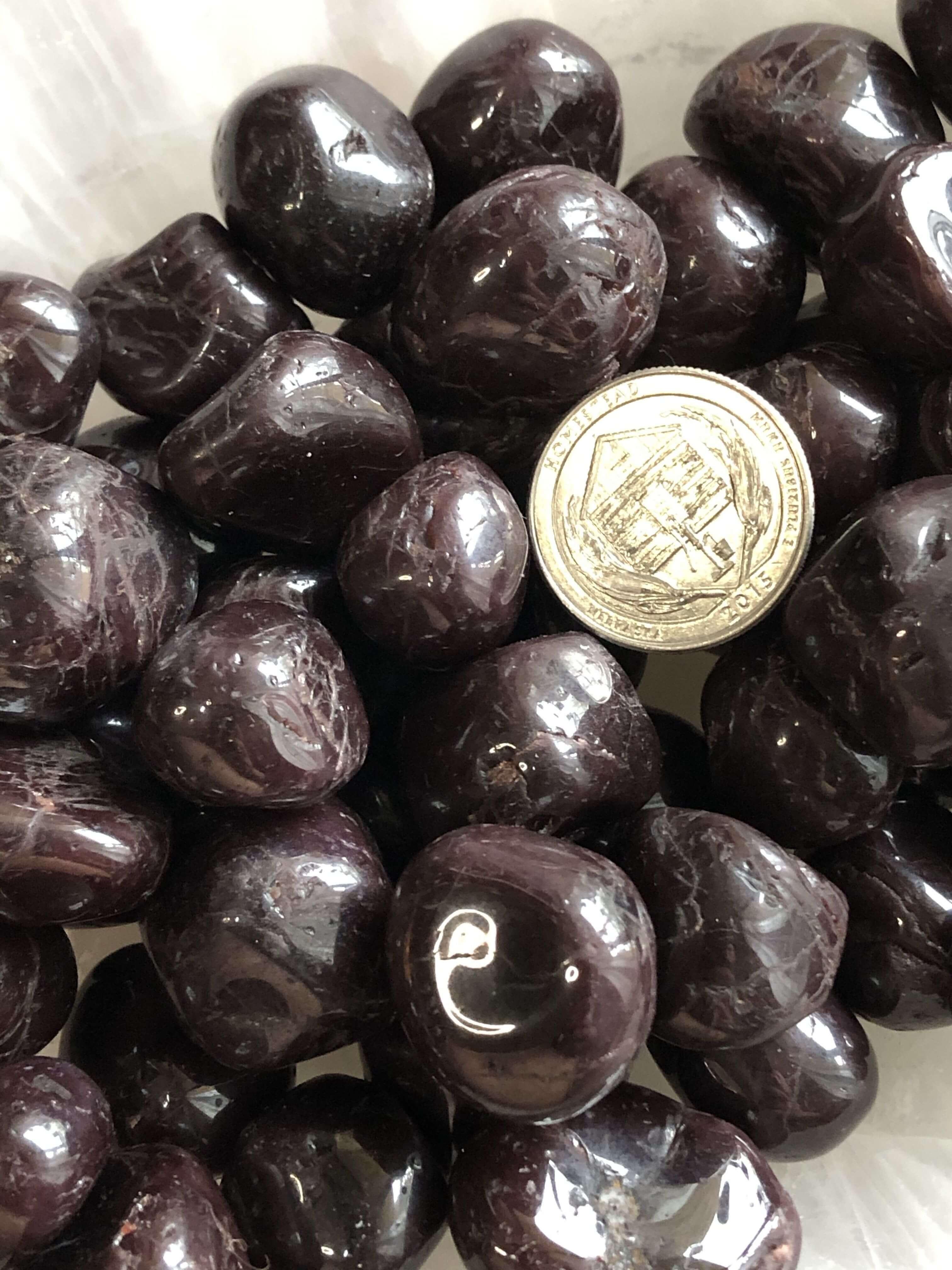 Star Garnet Tumbles | Set of 2 - Mooncat Crystals