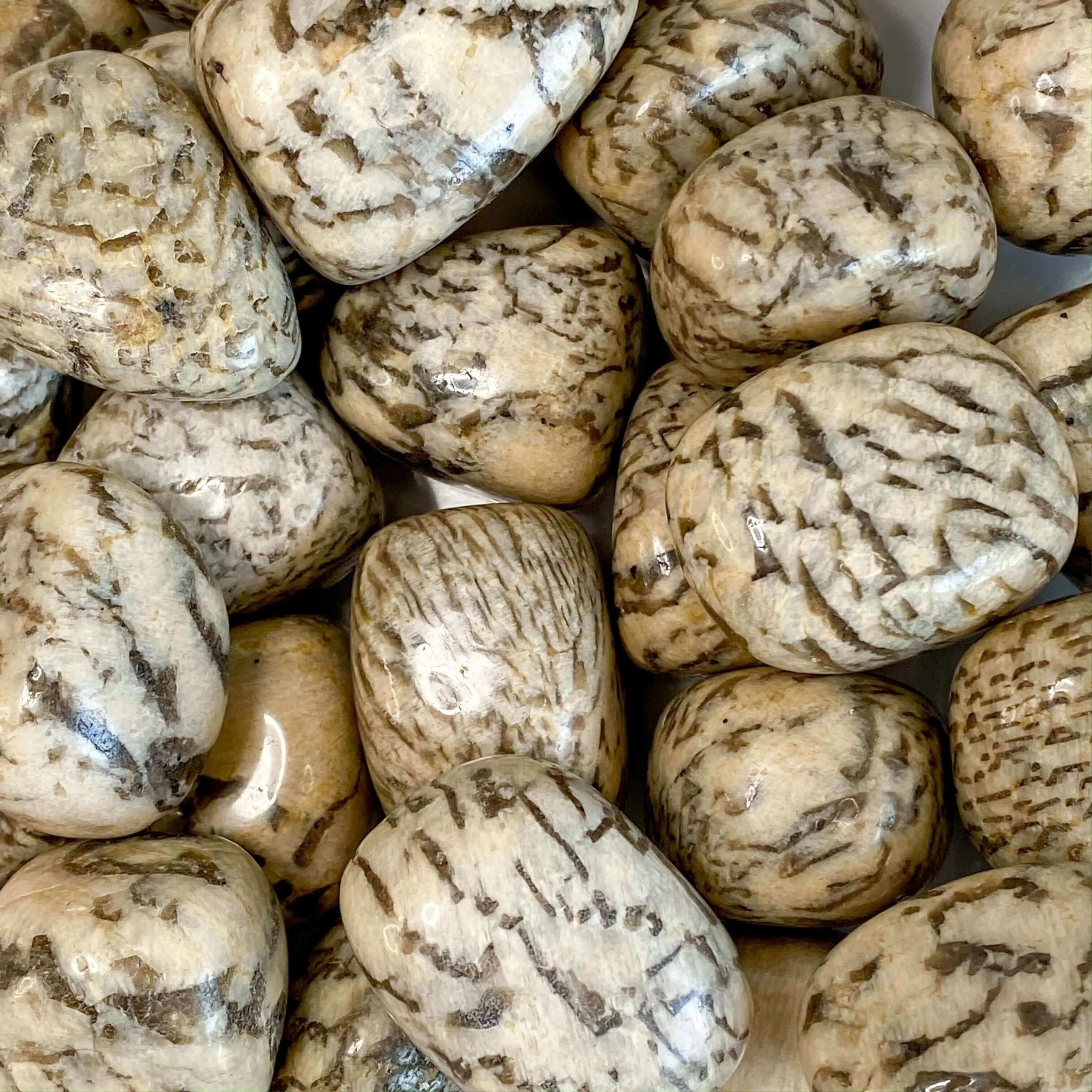 Zebradorite Tumbles | Set of 2 - Mooncat Crystals