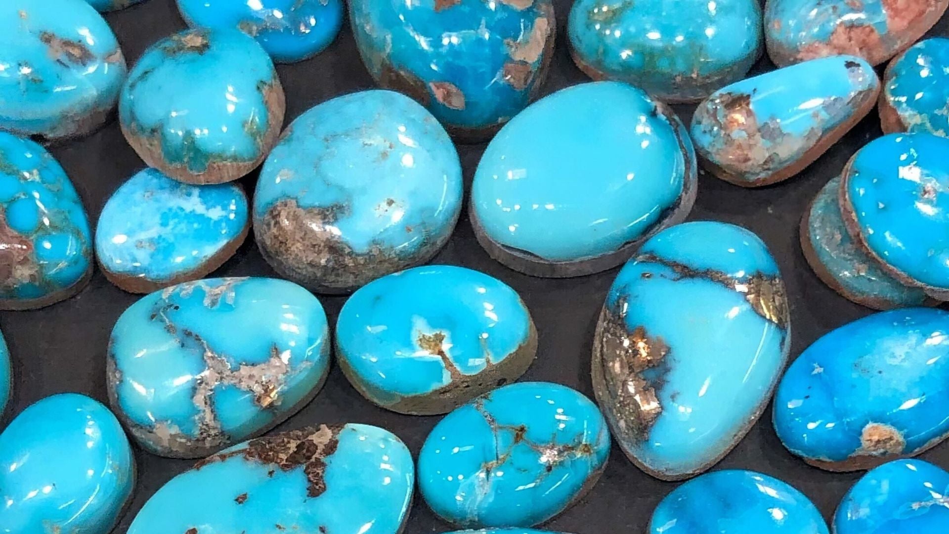 An array of turquoise cabochons