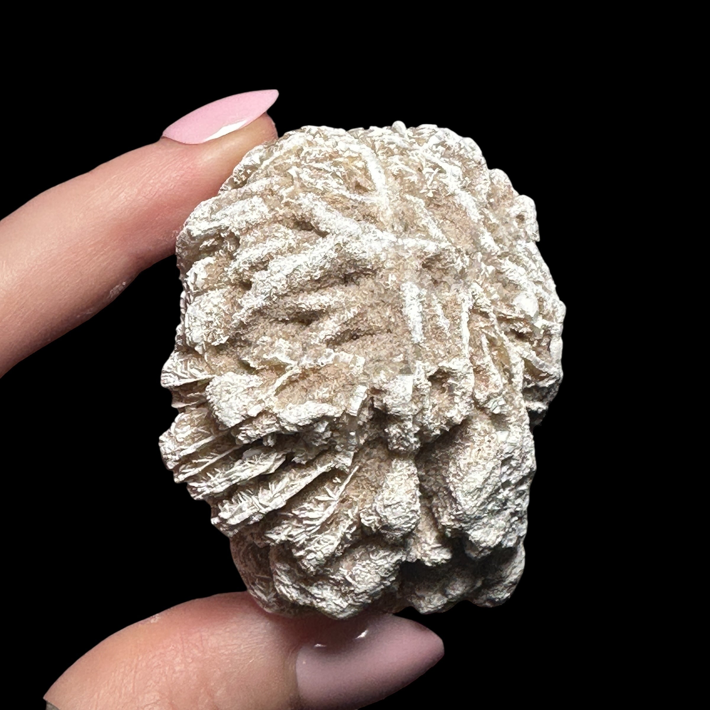 Desert Rose Selenite | Stock A