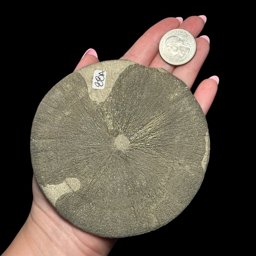 XL Pyrite Sun