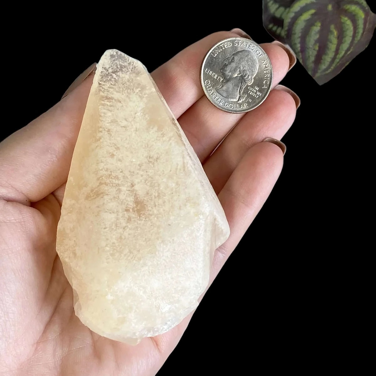 Rare UV-reactive Etched Calcite Point | Stock C