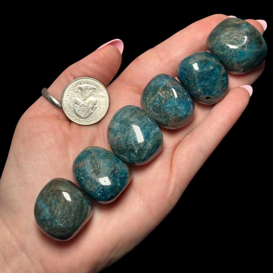 Dark Blue Apatite Tumbles | Set of 2