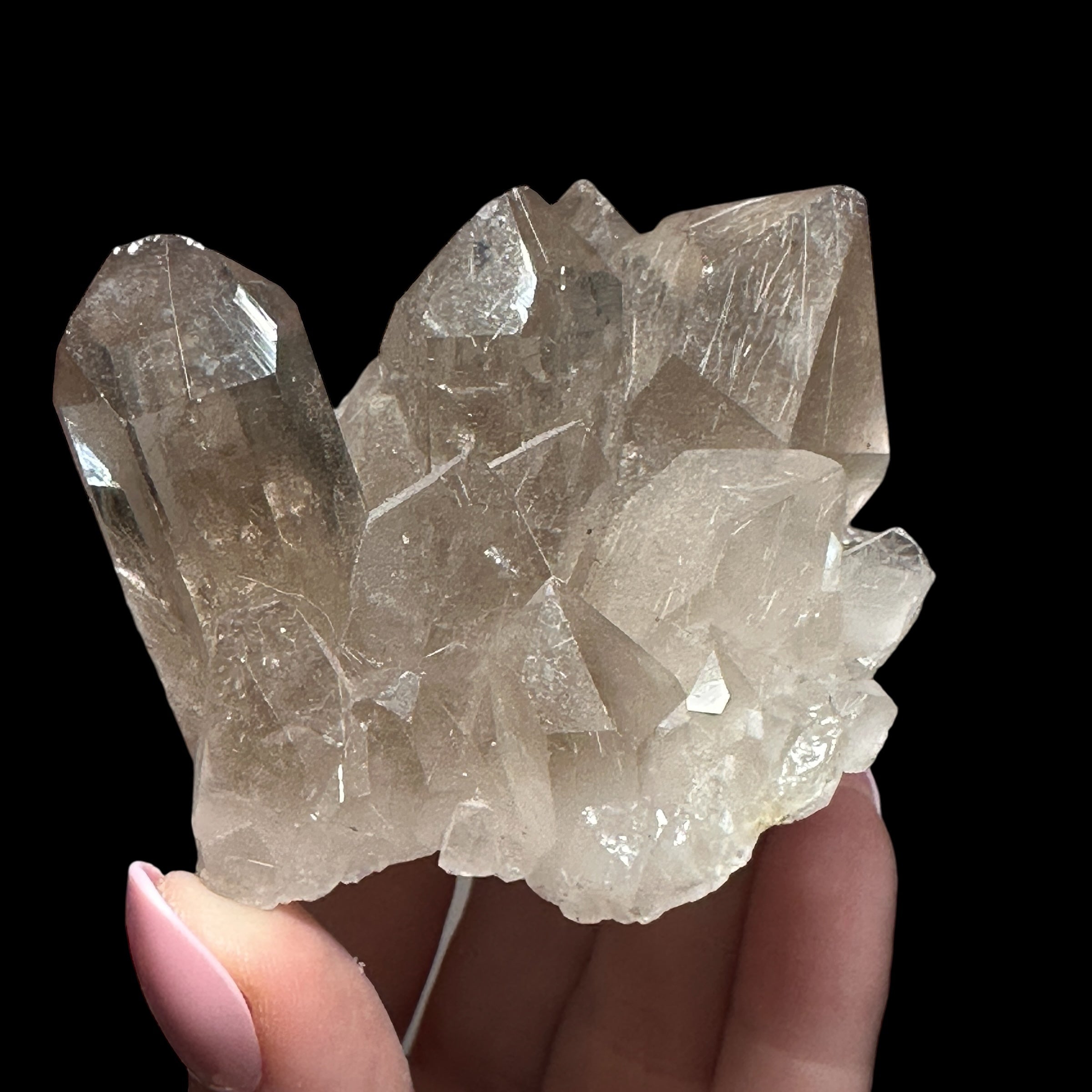 Smoky Rutilated Quartz Cluster
