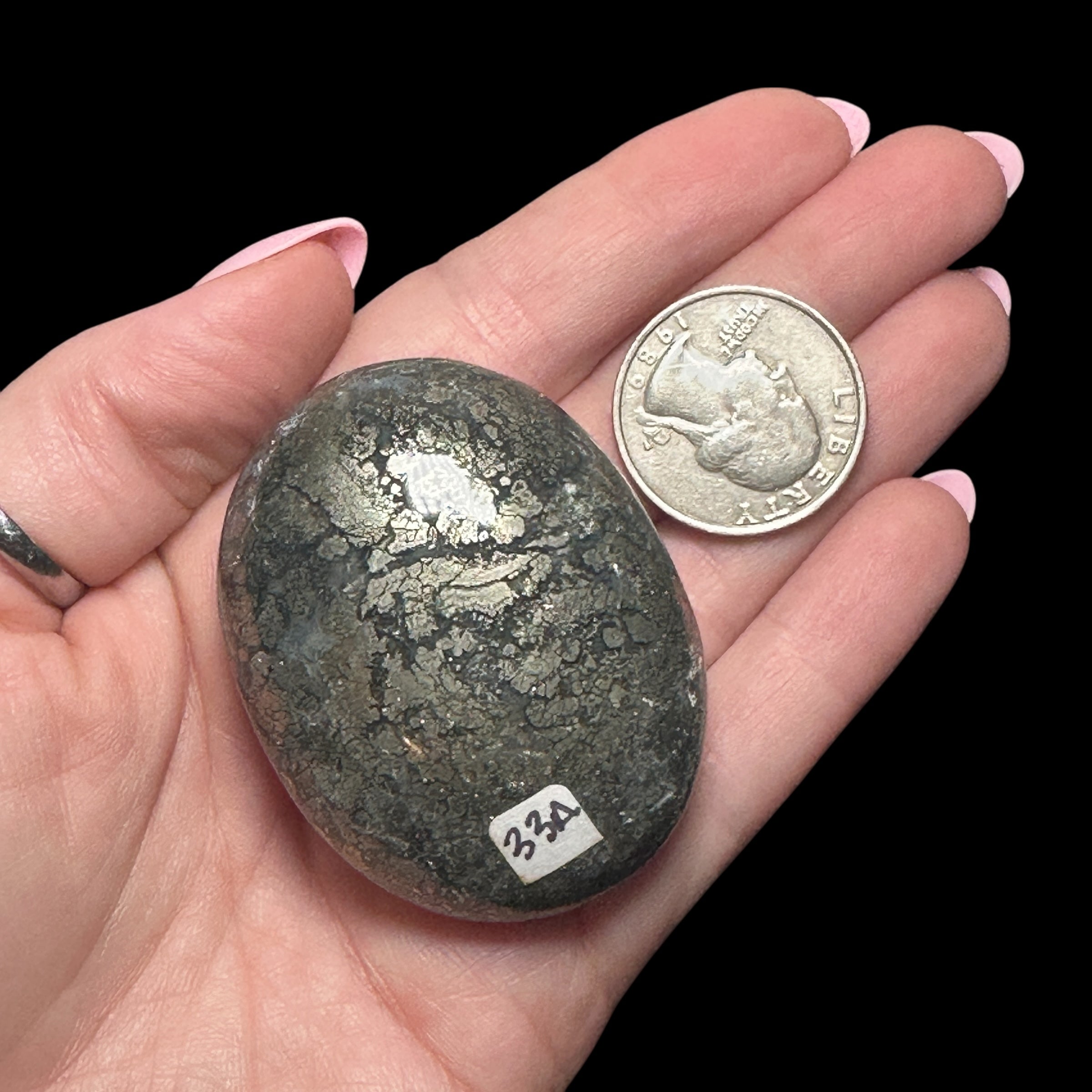 Pyrite Flower Agate Palm Stone