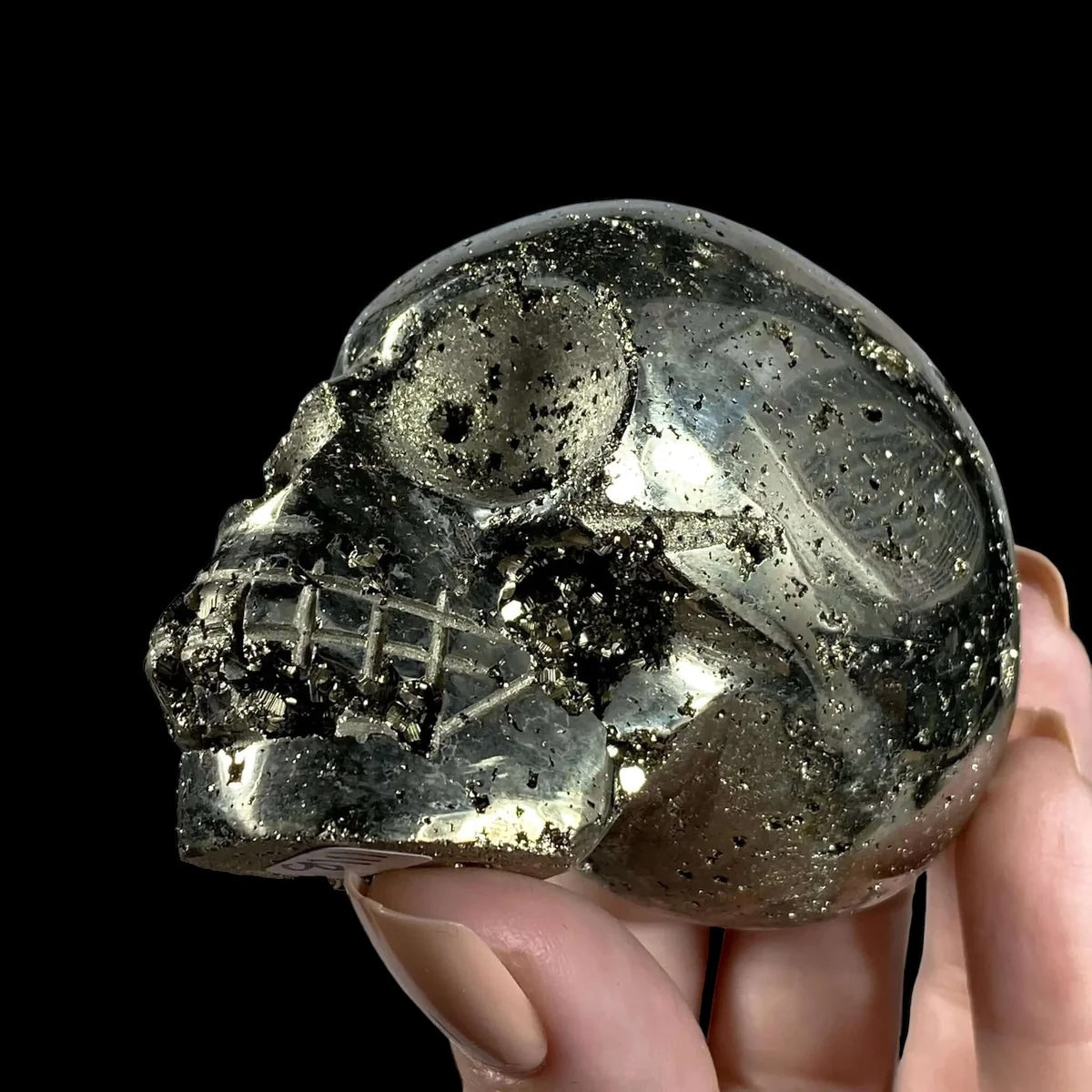 ABUNDANCE-ATTRACTING:: Pyrite Skull | Stock B