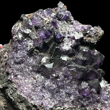 Dark Purple Fluorite